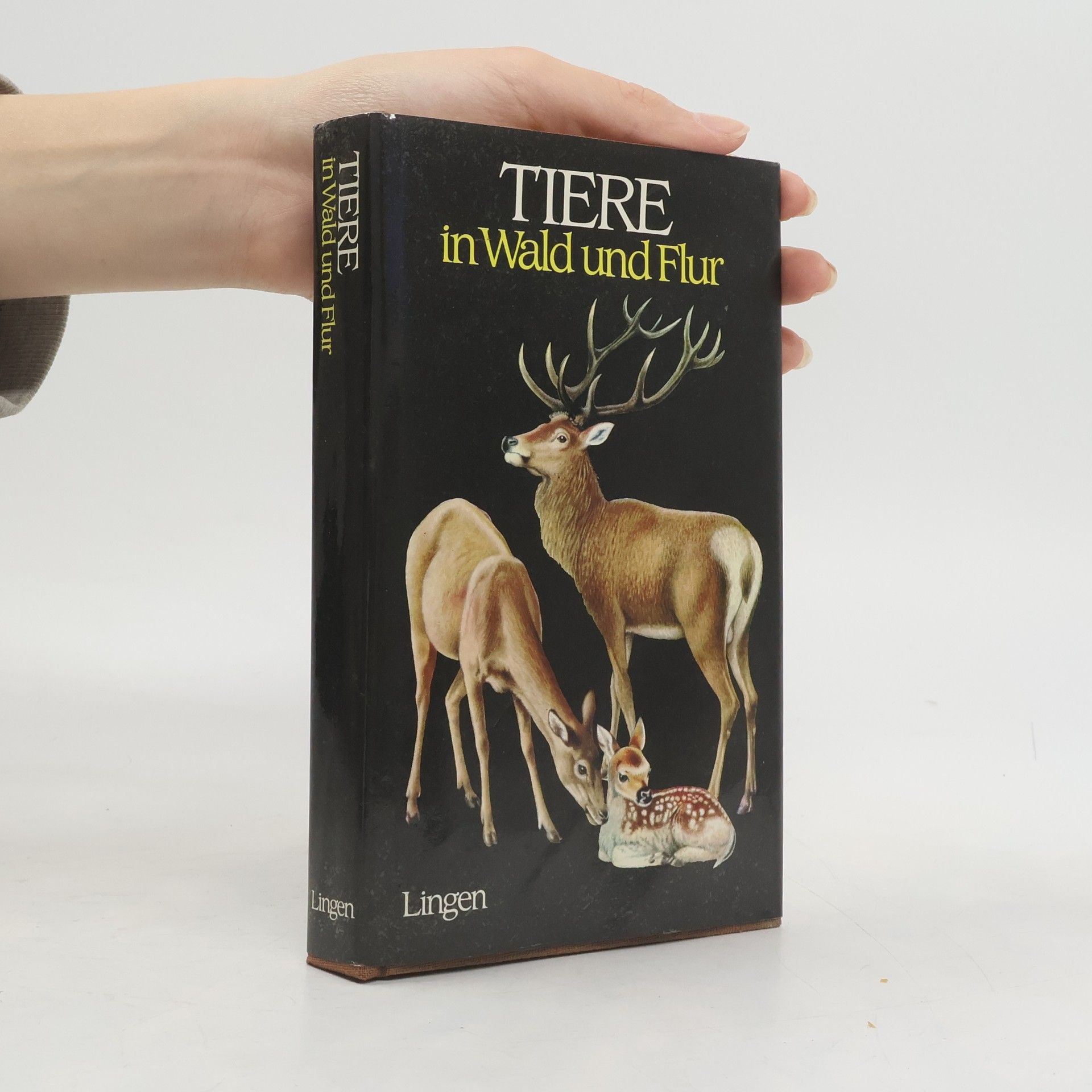 Autores varios Tiere in Wald und Flur