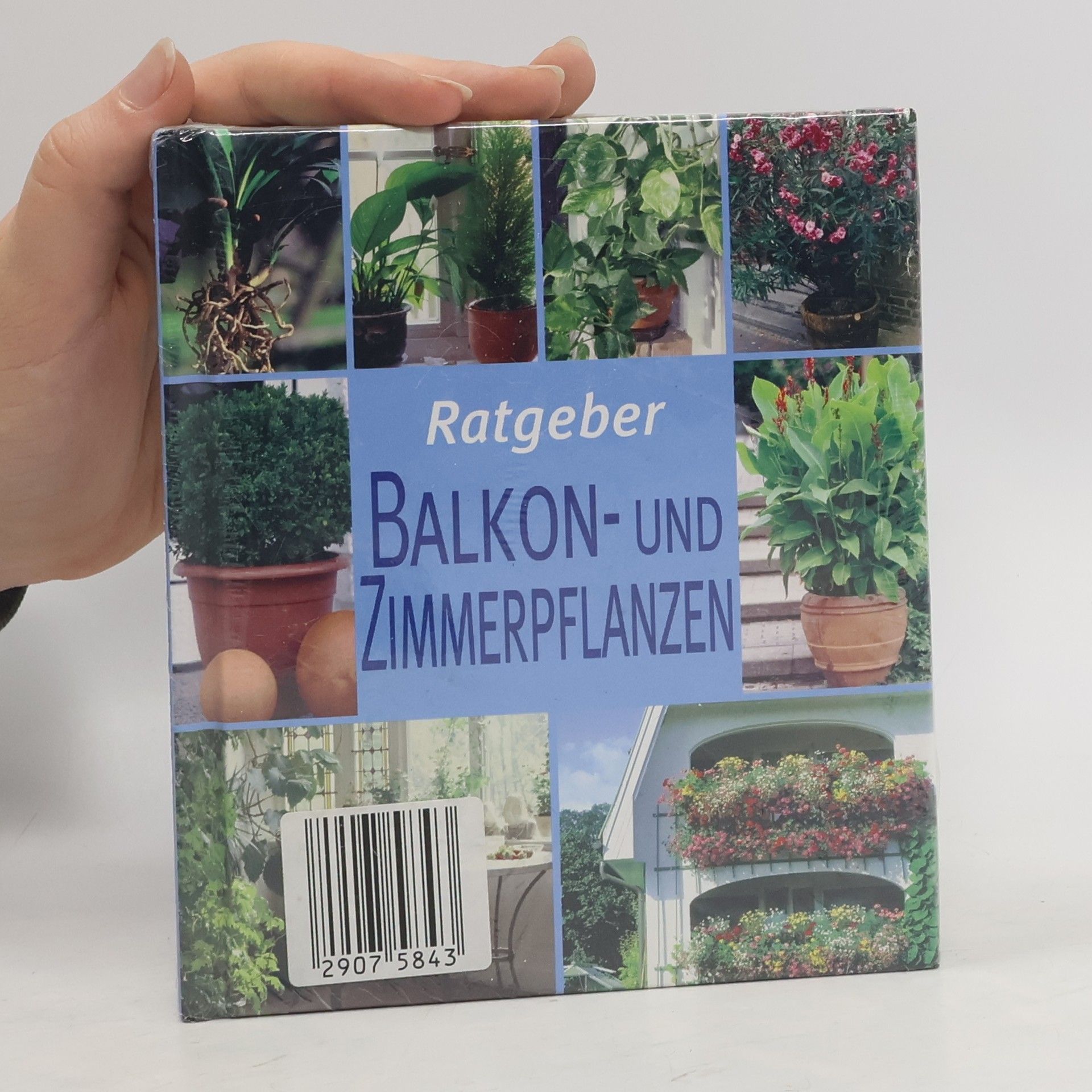 Andrea Rausch Ratgeber Balkon- und Zimmerpflanzen