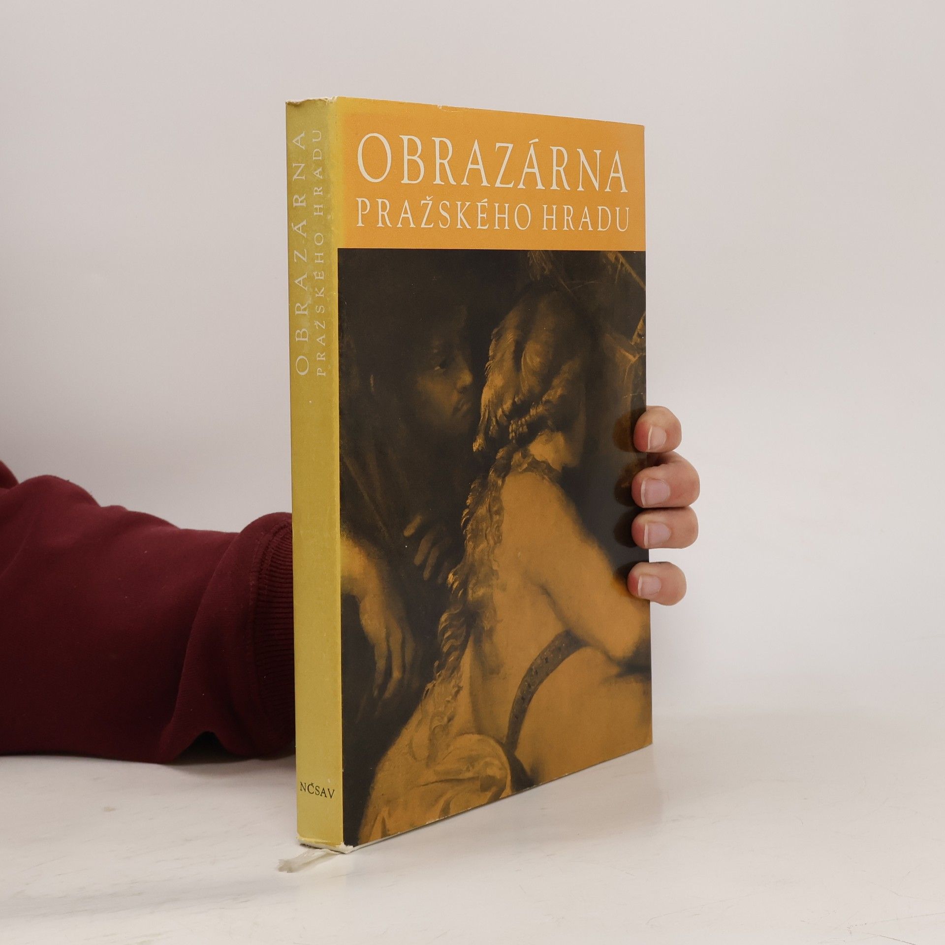 Jaromír Neumann Obrazárna Pražského hradu