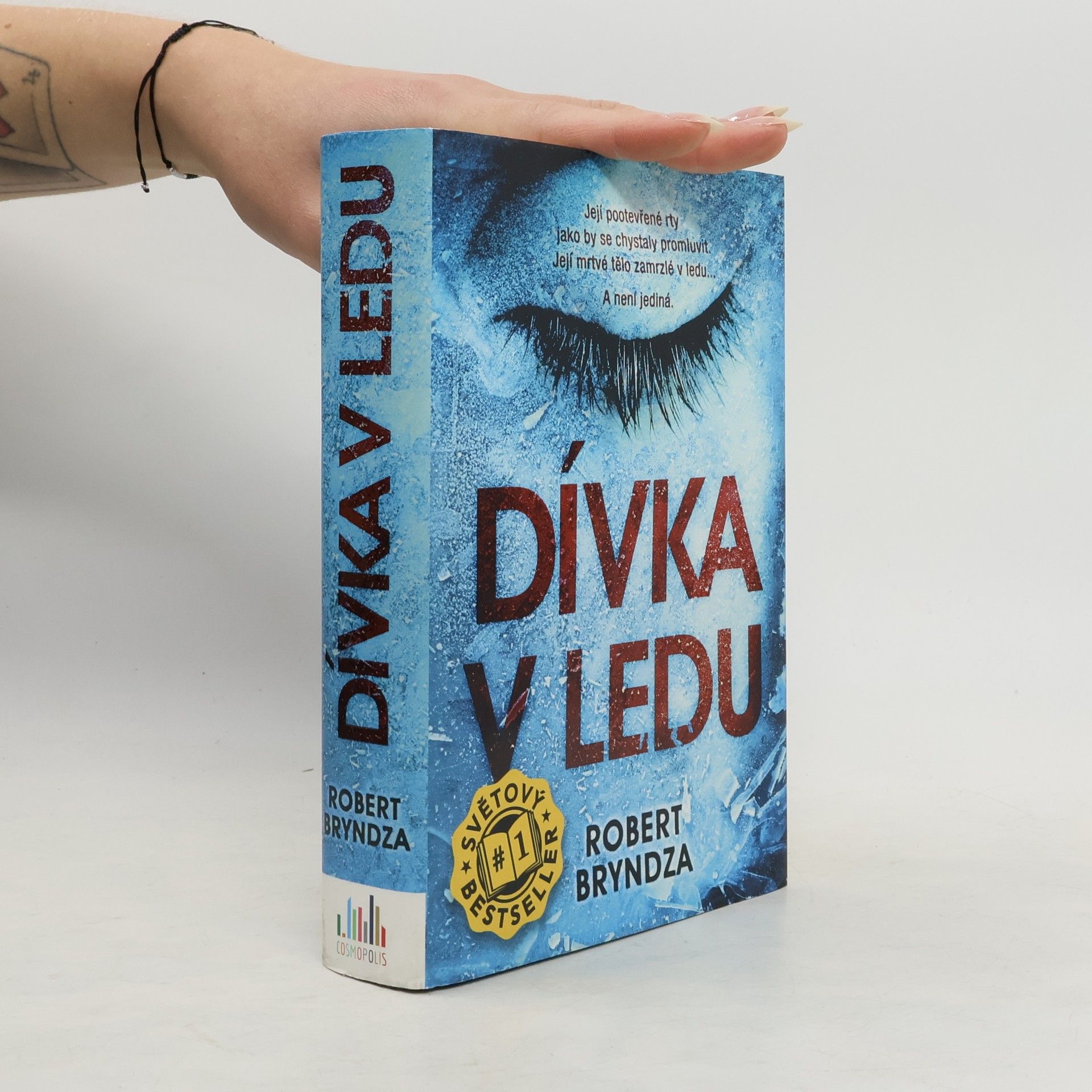 Robert Bryndza Dívka v ledu