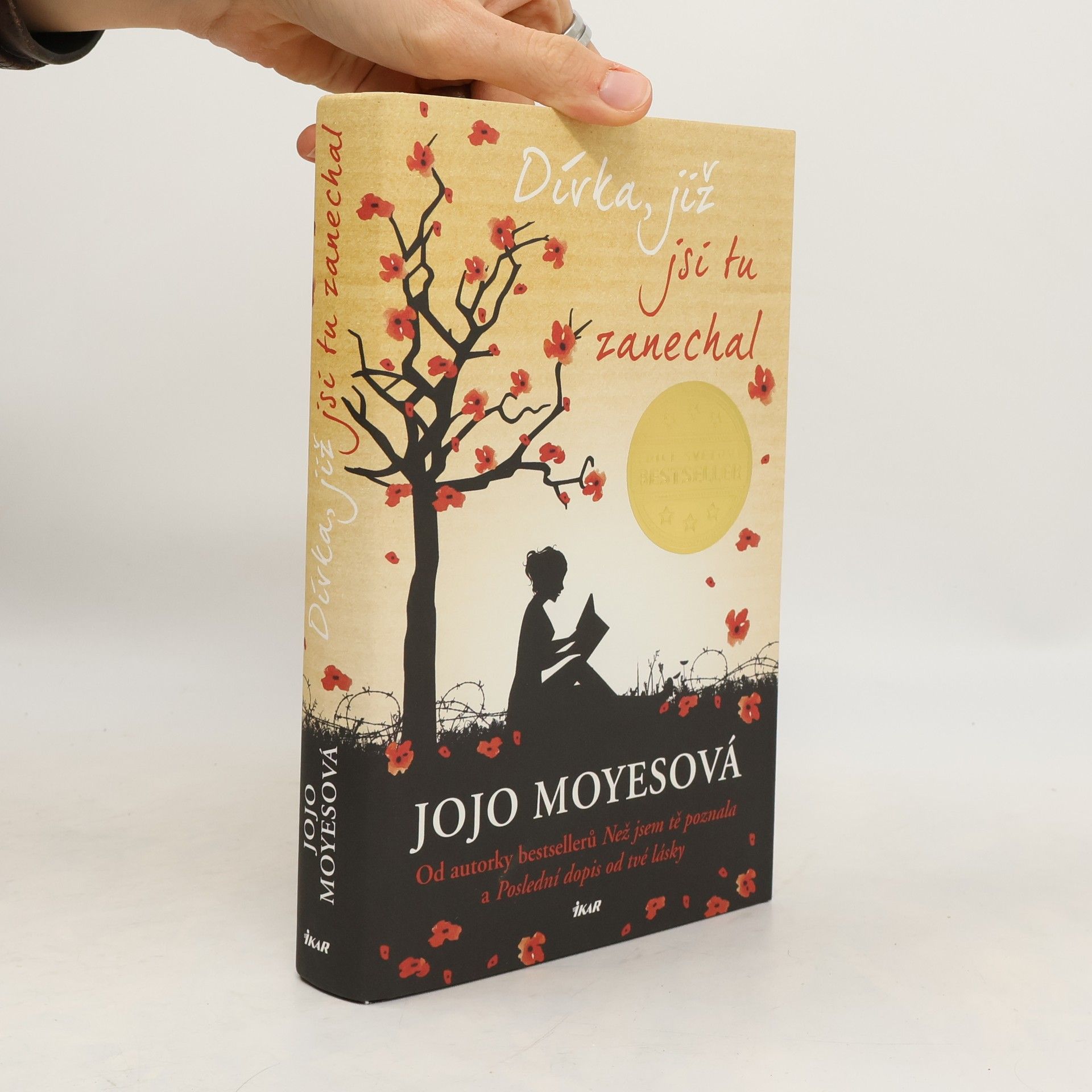 Lucie Mikolajková Dívka, již jsi tu zanechal