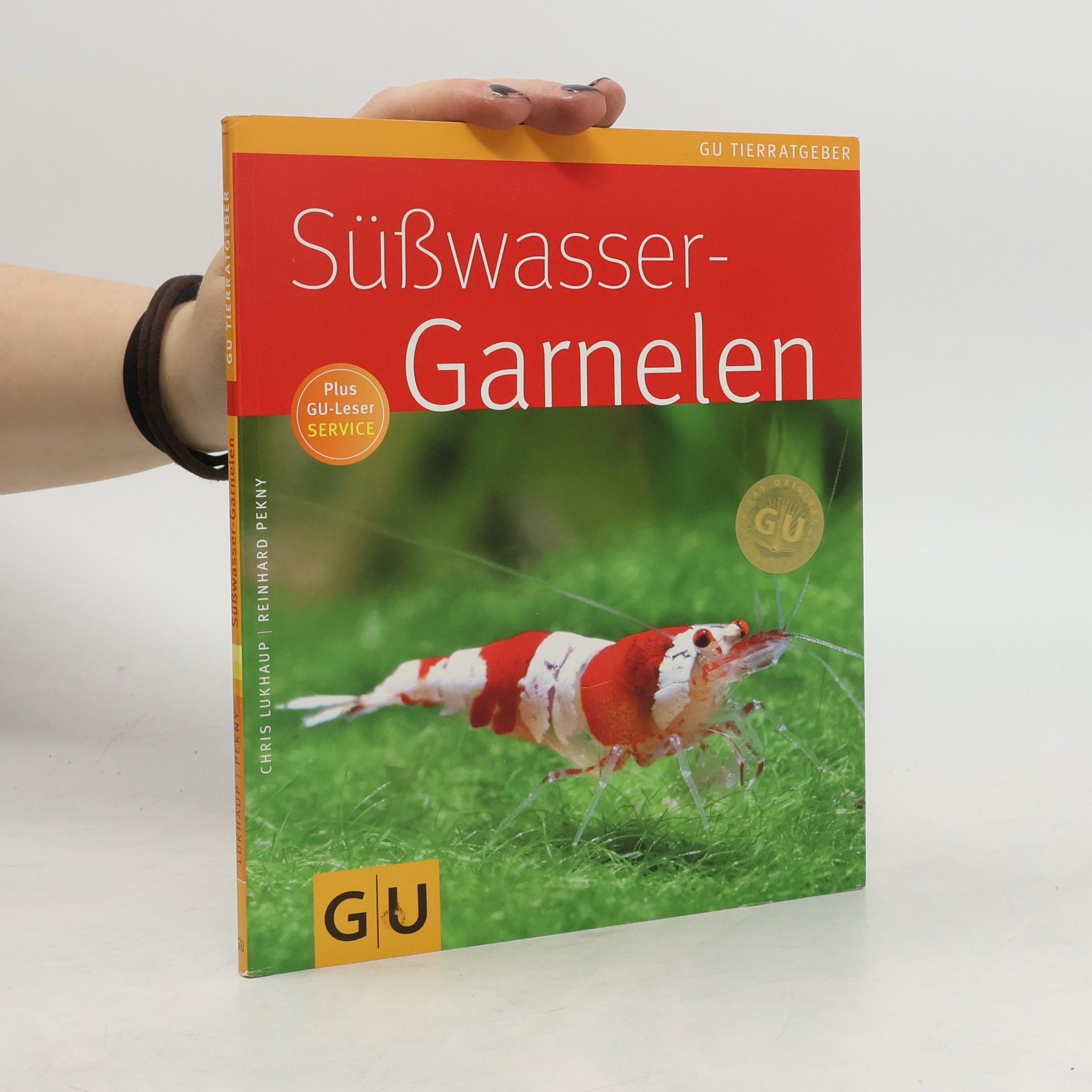 Süßwasser-Garnelen