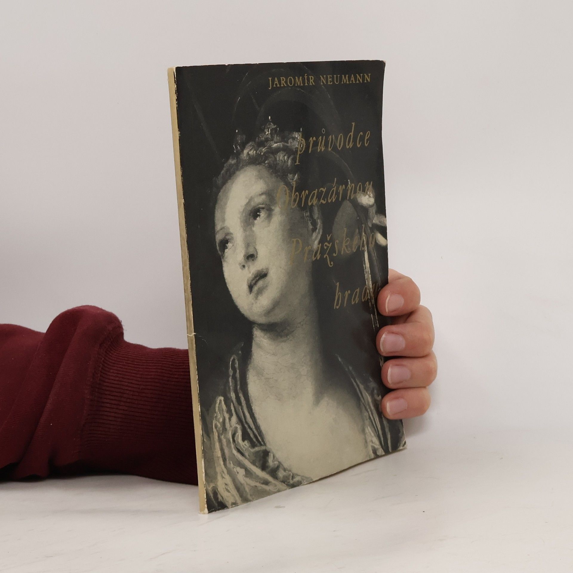 Jaromír Neumann Průvodce Obrazárnou Pražského hradu