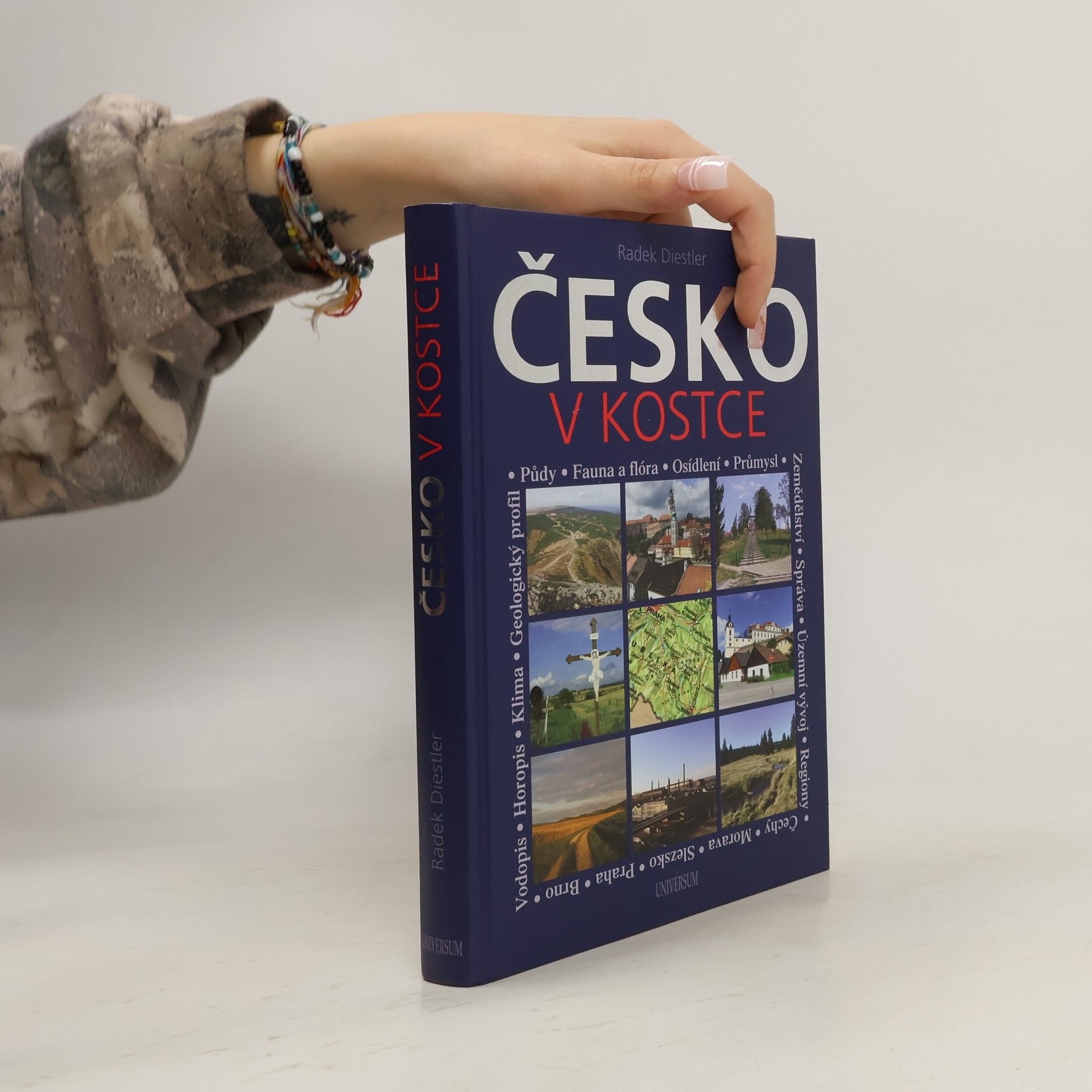 Radek Diestler Česko v kostce : netradiční vlastivěda pro každého