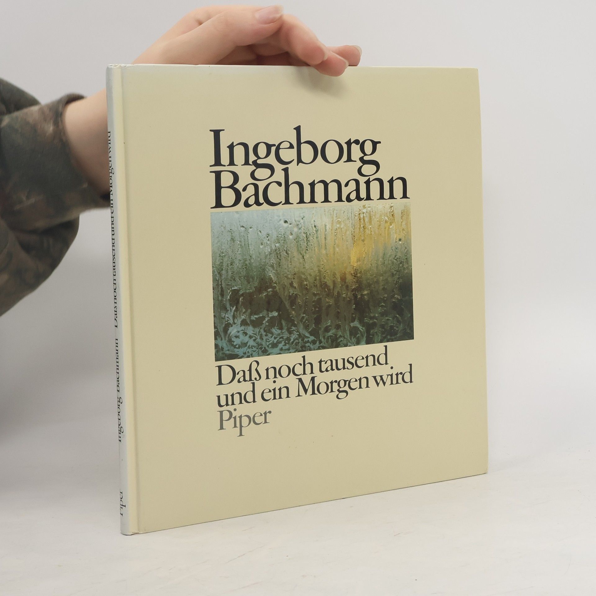 Ingeborg Bachmann Daß noch tausend und ein Morgen wird