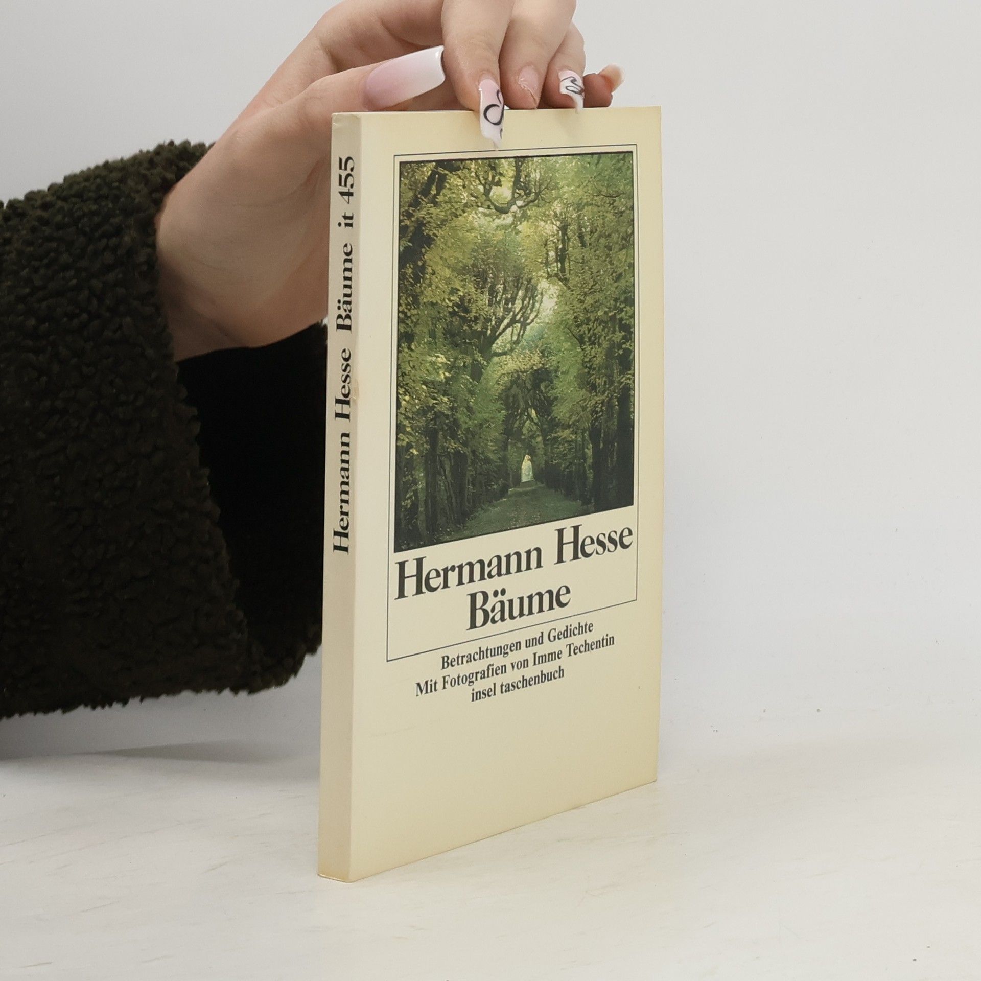 Hermann Hesse Bäume