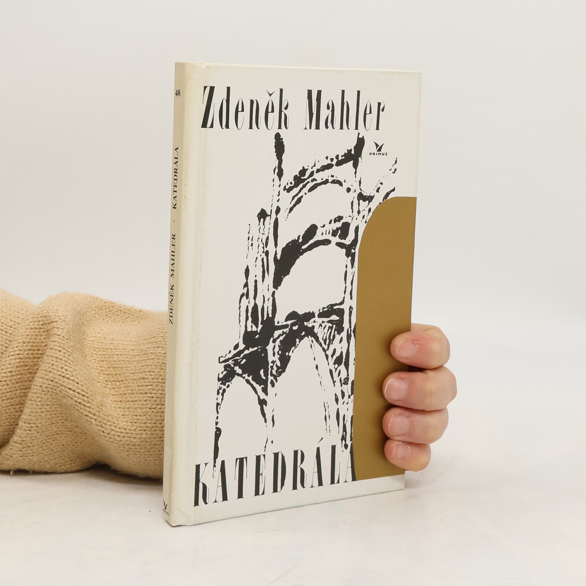 Zdeněk Mahler Katedrála