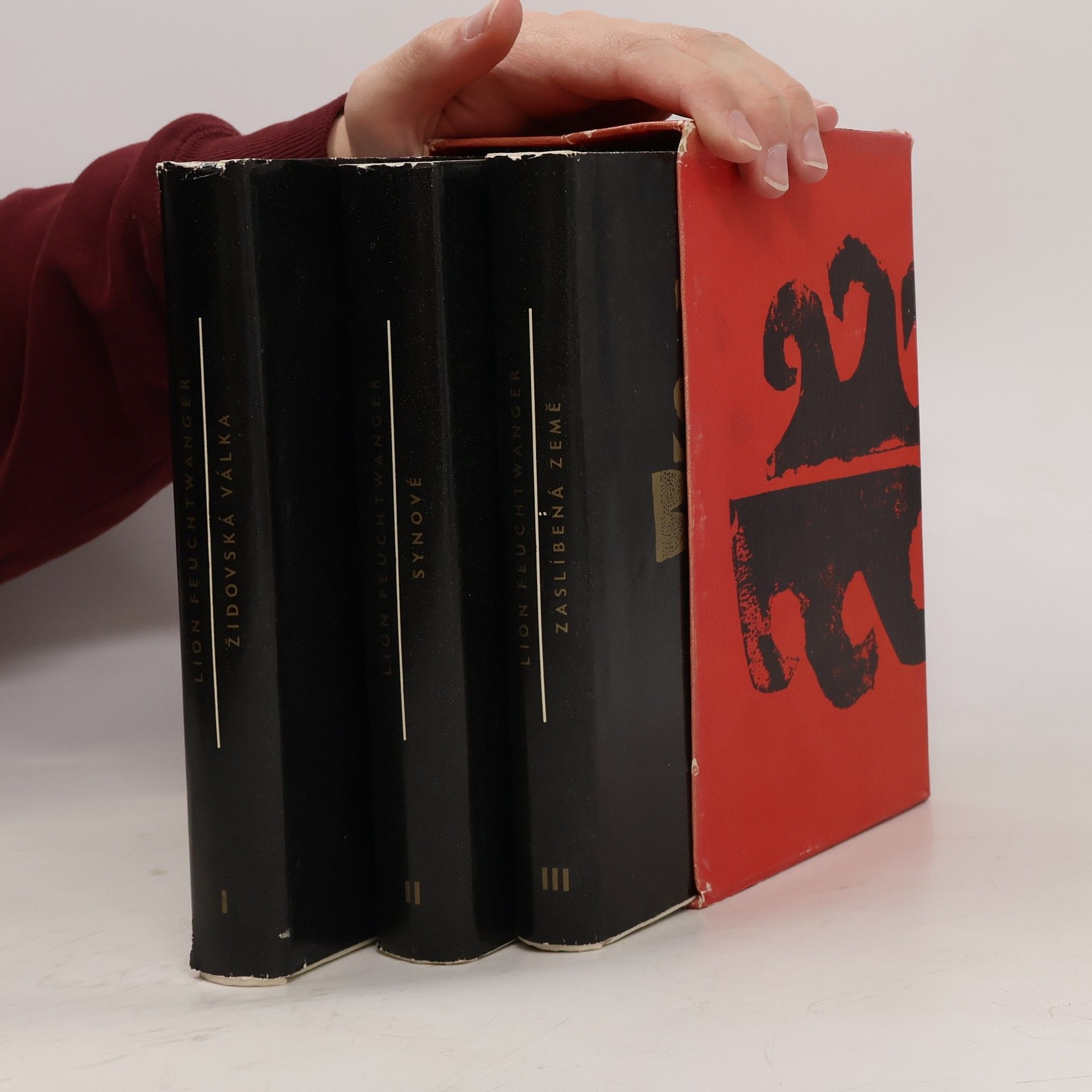 Lion Feuchtwanger Židovská válka. Synové. Zaslíbená země