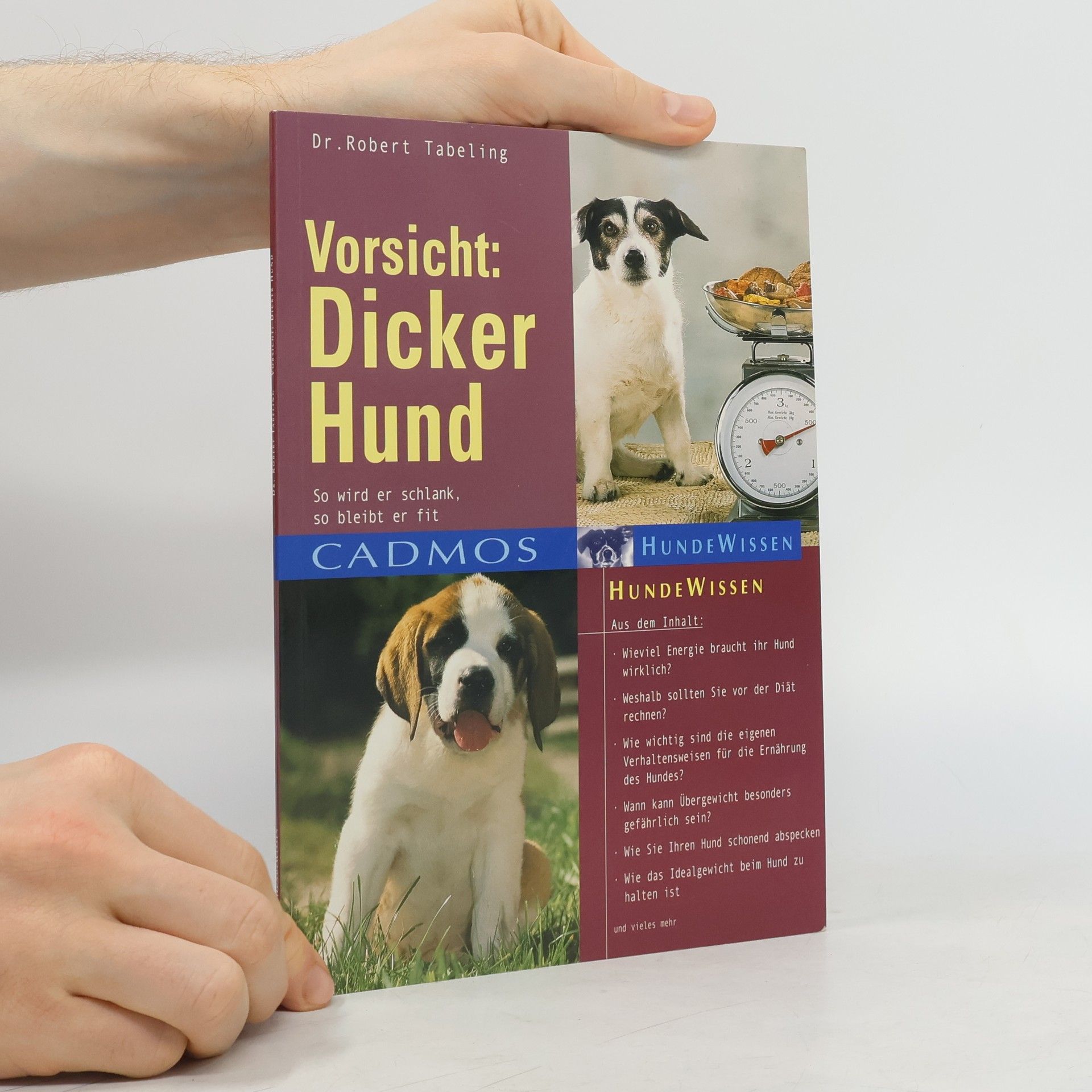 Robert Tabeling Vorsicht dicker Hund