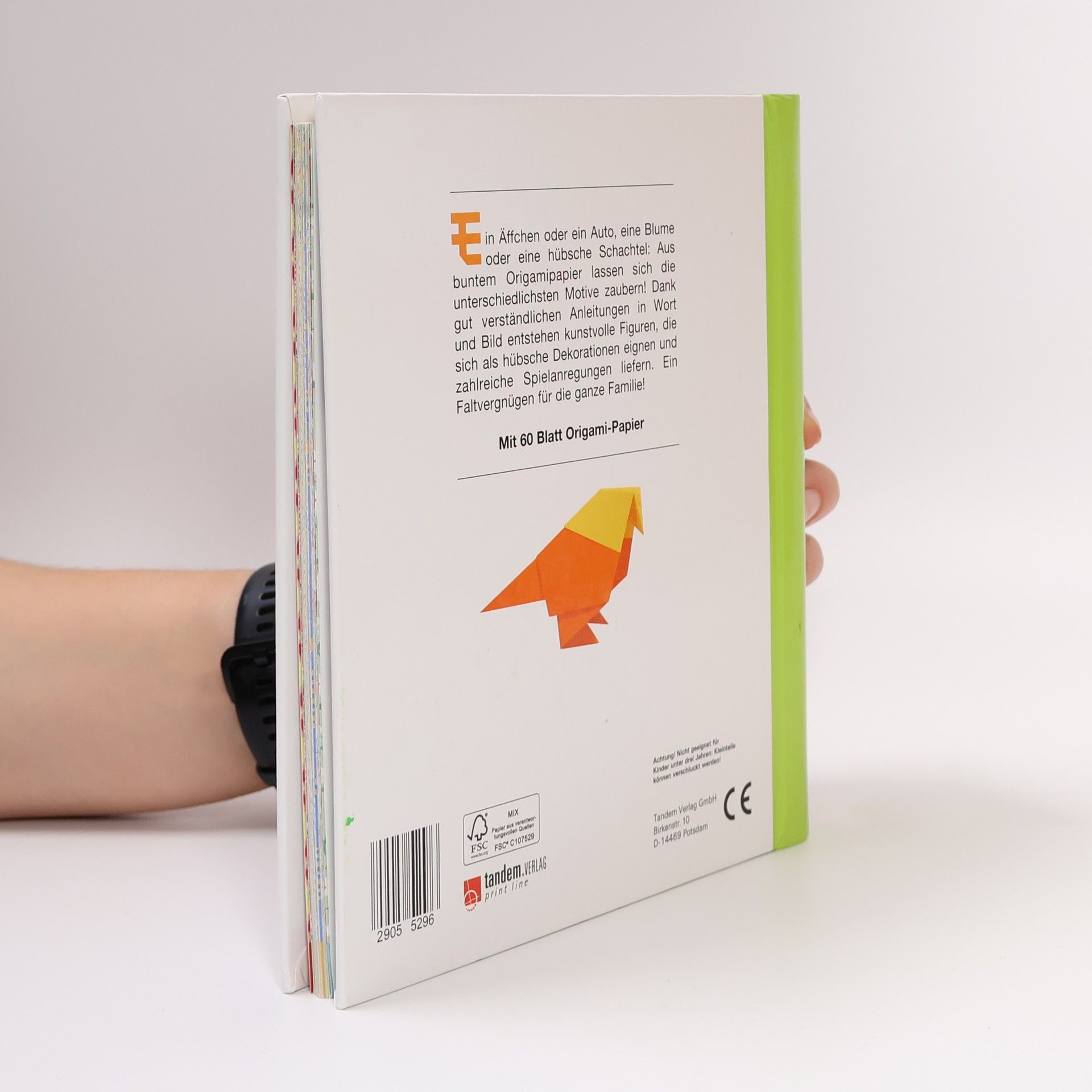 Autorenkollektiv Kunterbuntes Origami