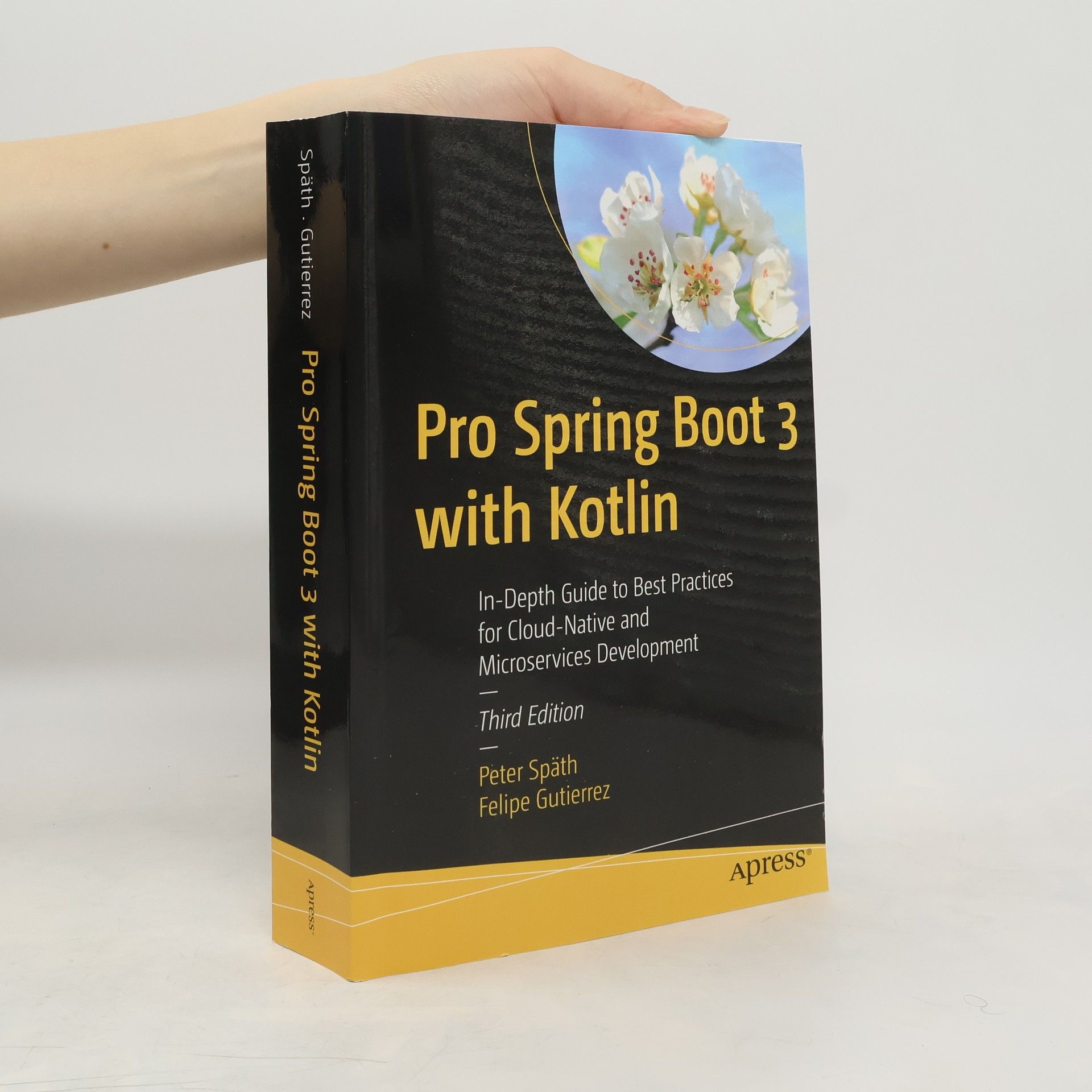Felipe Gutierrez Pro Spring Boot 3 with Kotlin