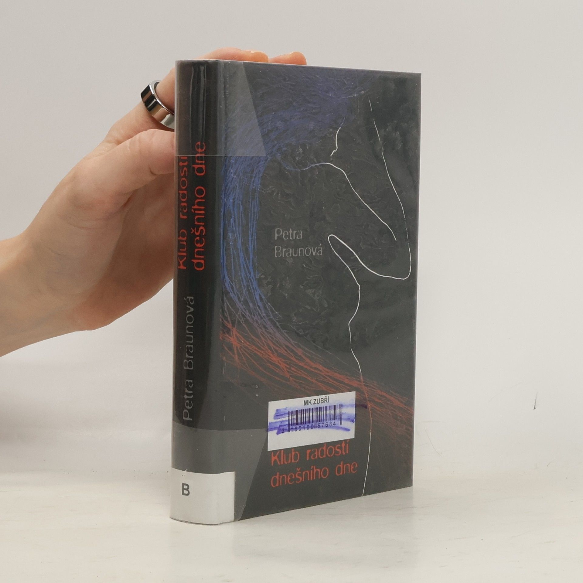 Petra Braunová Klub radostí dnešního dne