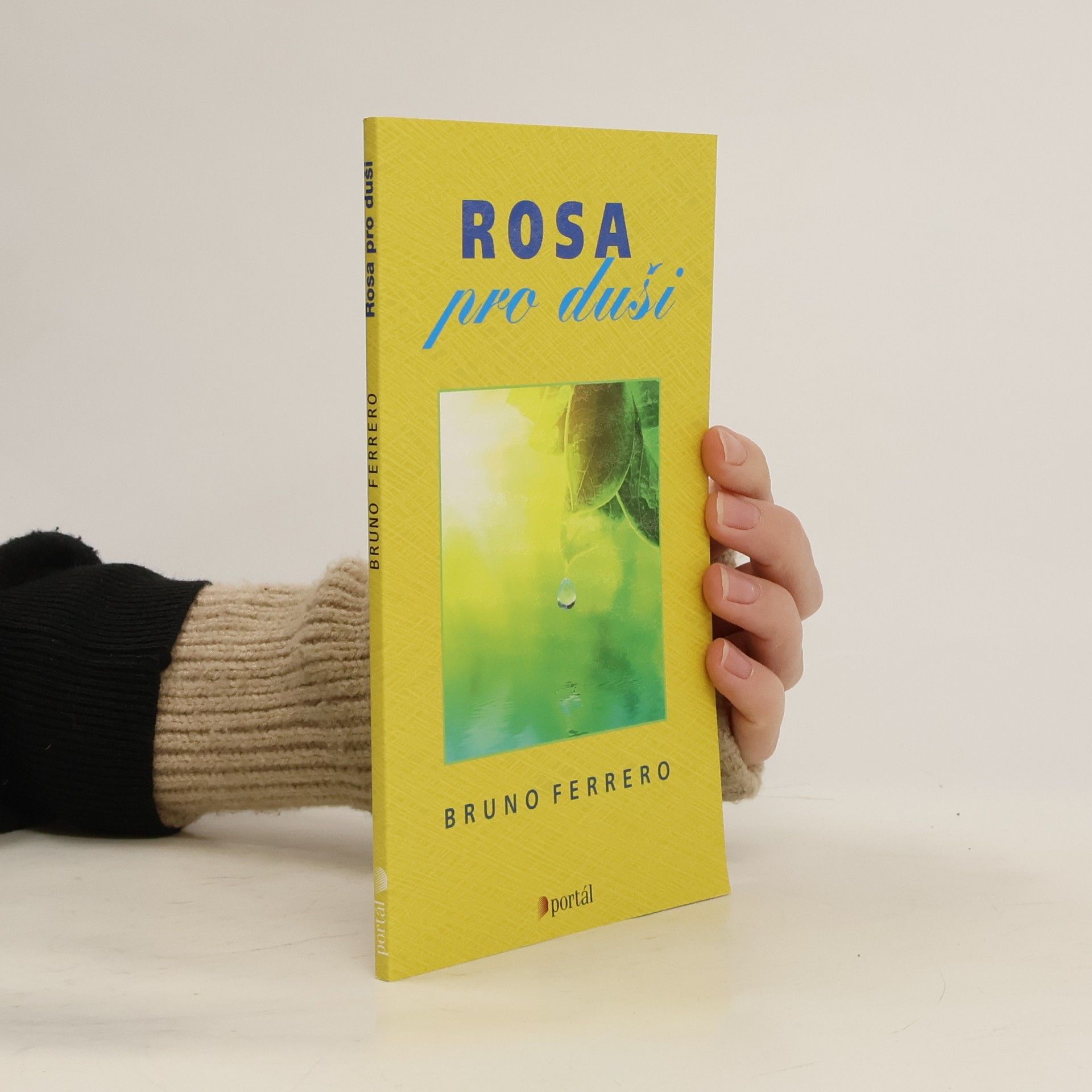 Bruno Ferrero Rosa pro duši