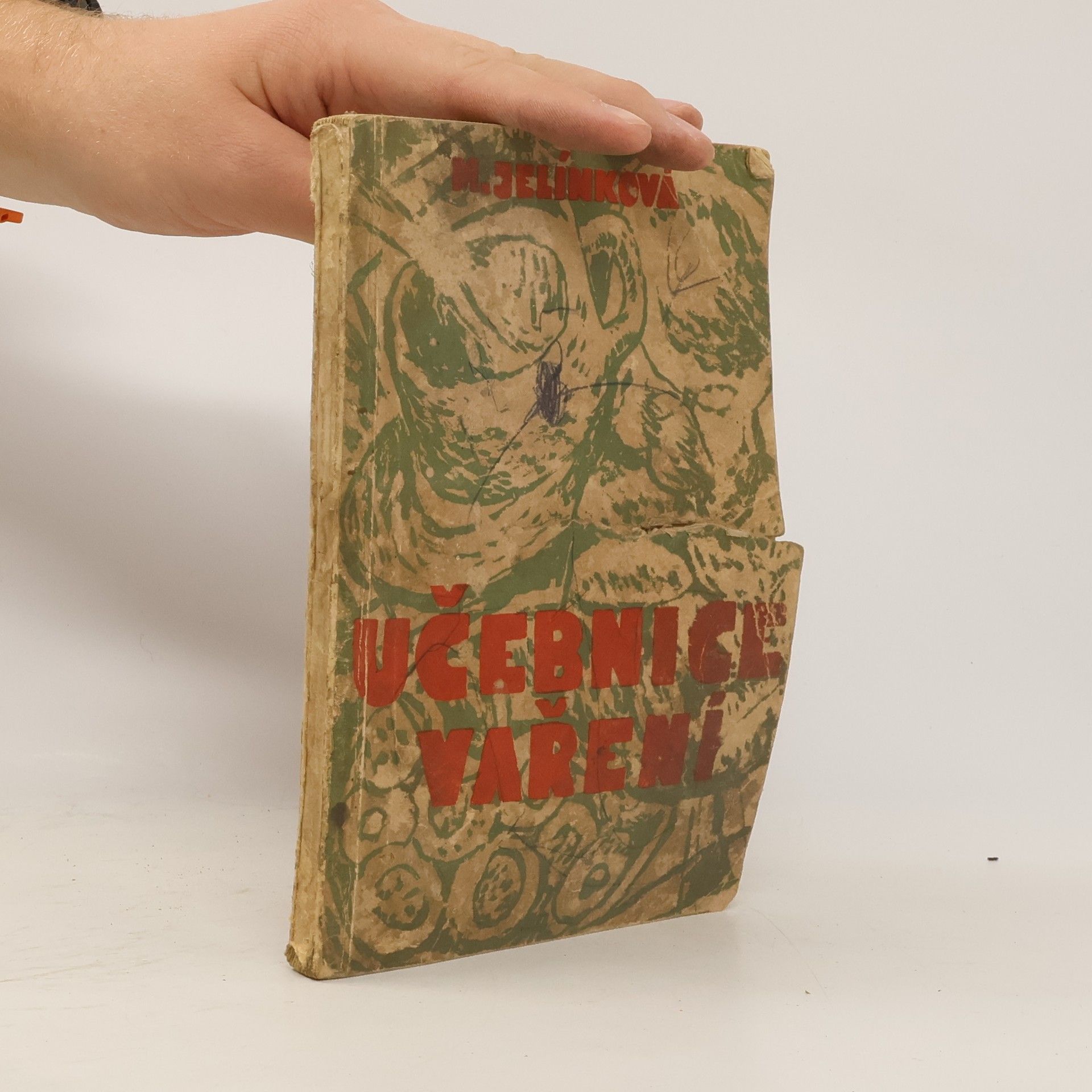 Marie Jelínková Učebnice vaření pro dívčí školy druhého stupně