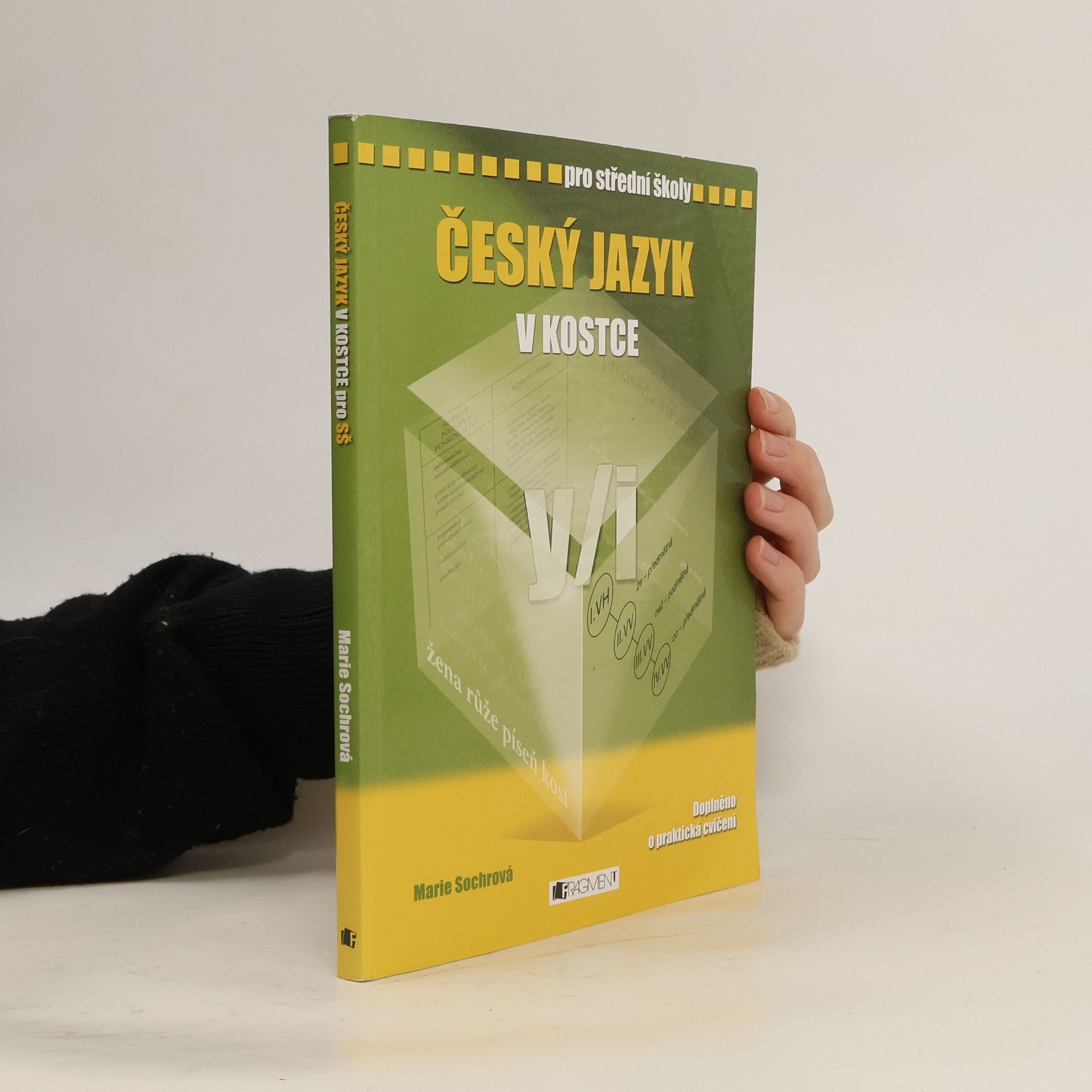 Marie Sochrová Český jazyk v kostce : pro střední školy