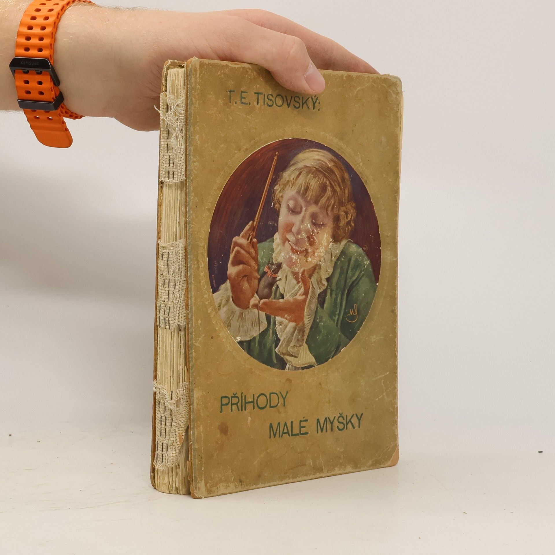 Příhody malé myšky