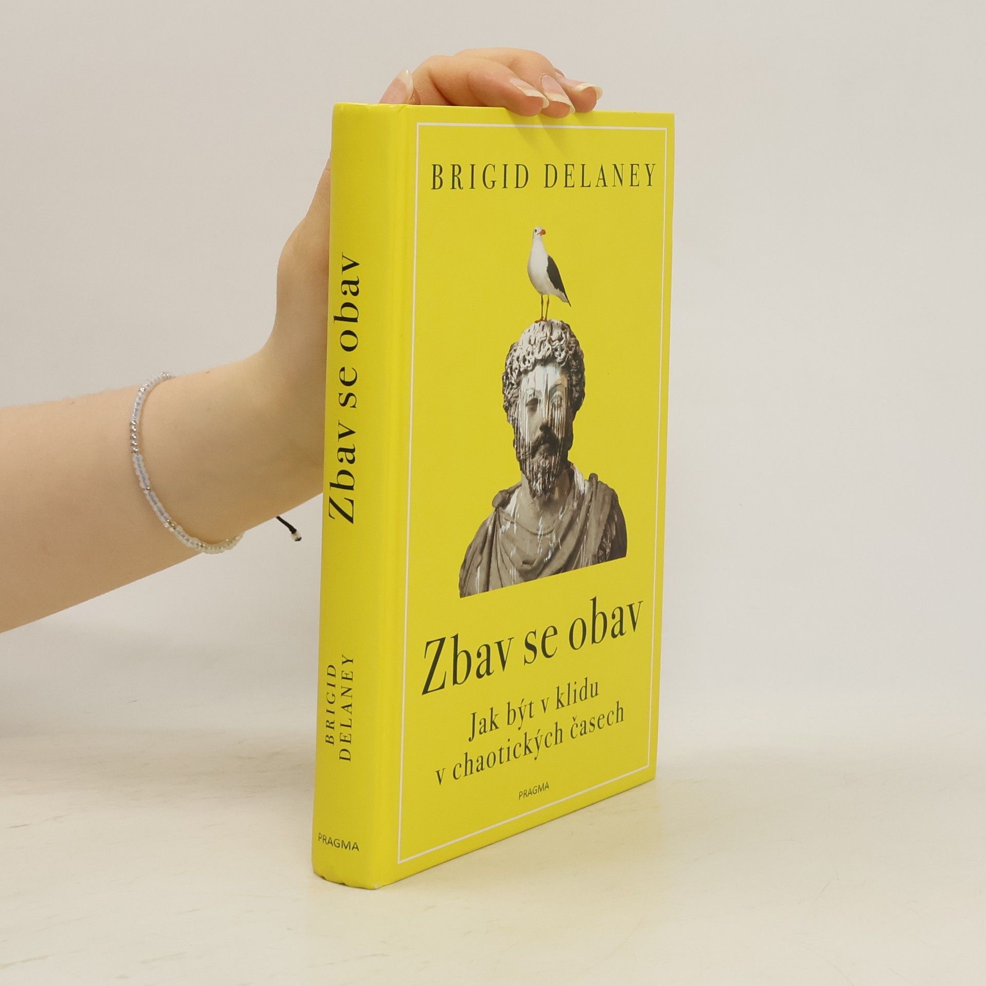 Brigid Delaney Zbav se obav. Jak být v klidu v chaotických časech