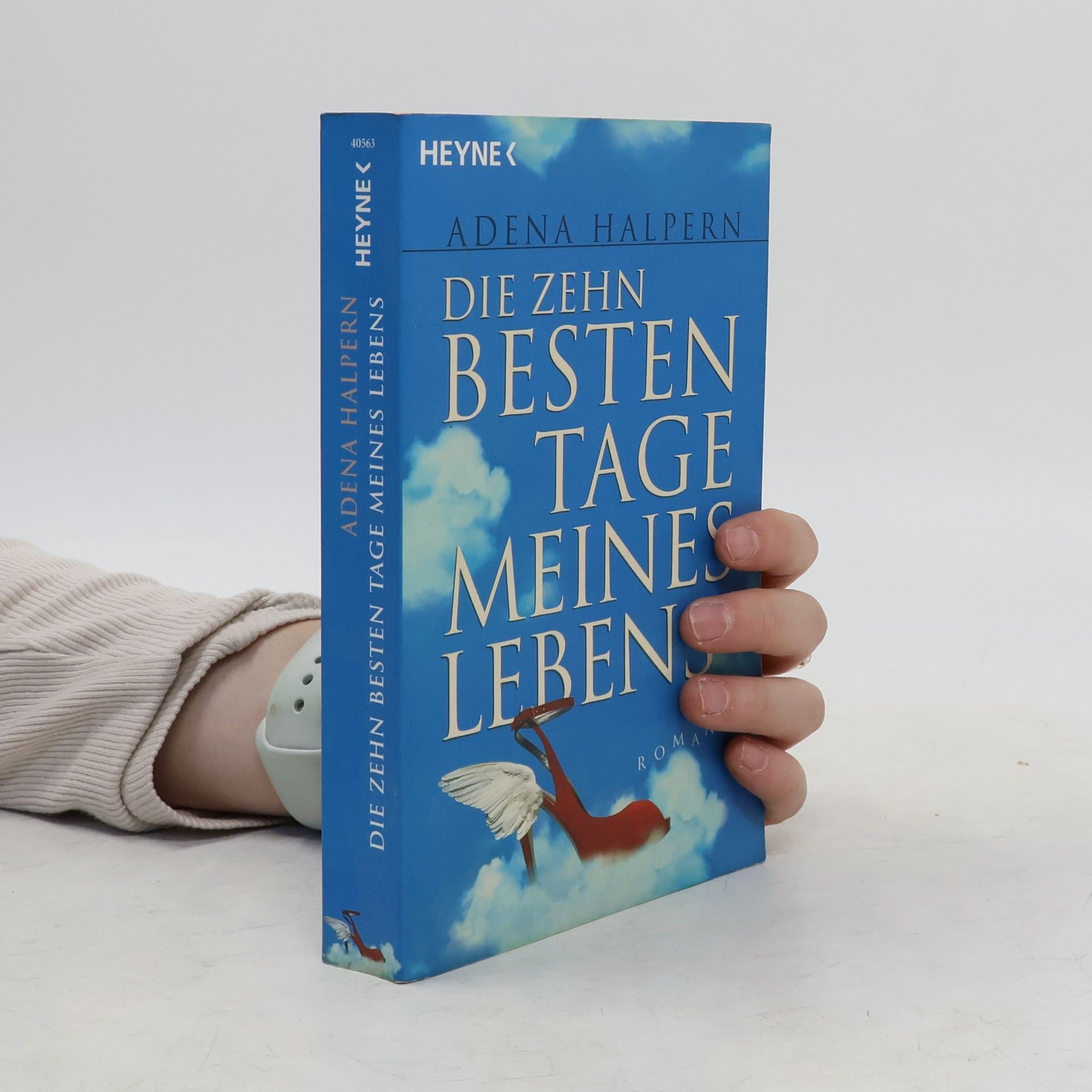 Adena Halpern Die zehn besten Tage meines Lebens