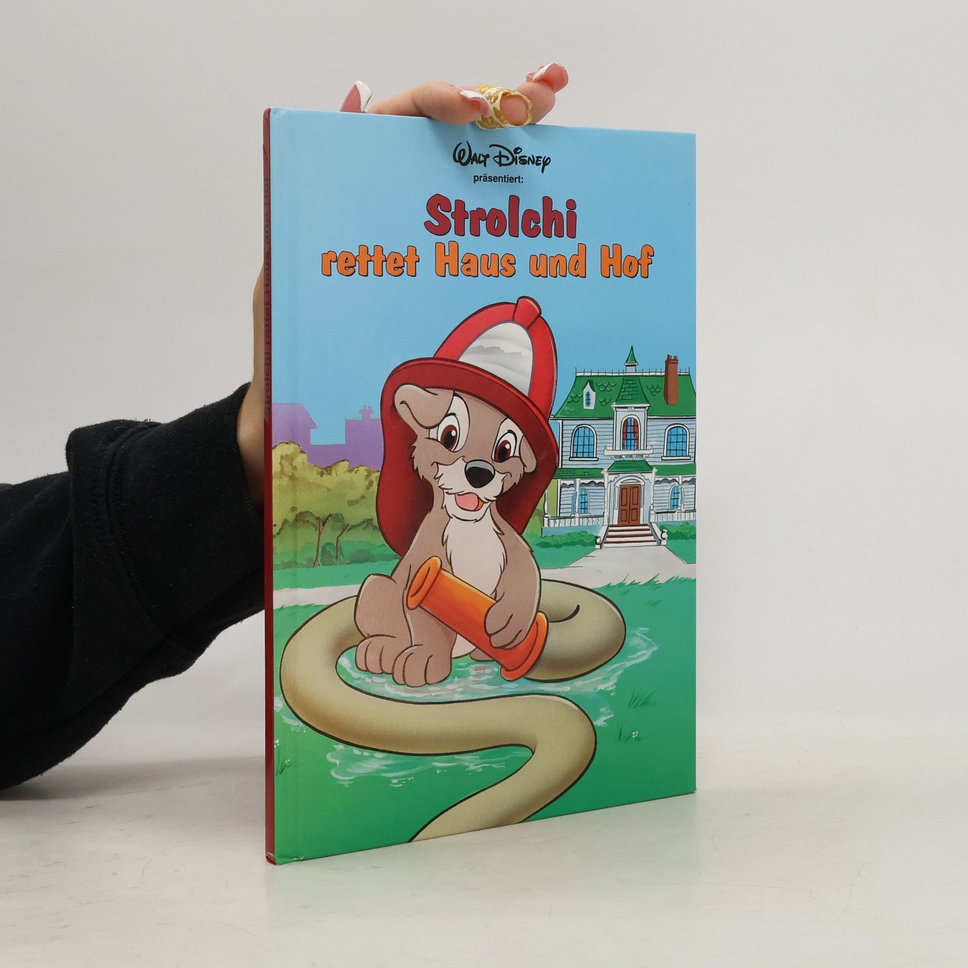 Autorenkollektiv Strolchi retter Haus und Hof