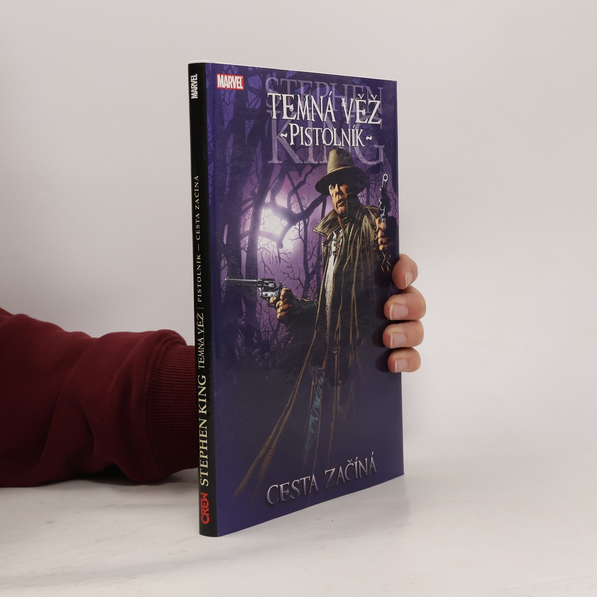 P. David Temná věž 6: Pistolník 1: Cesta začíná