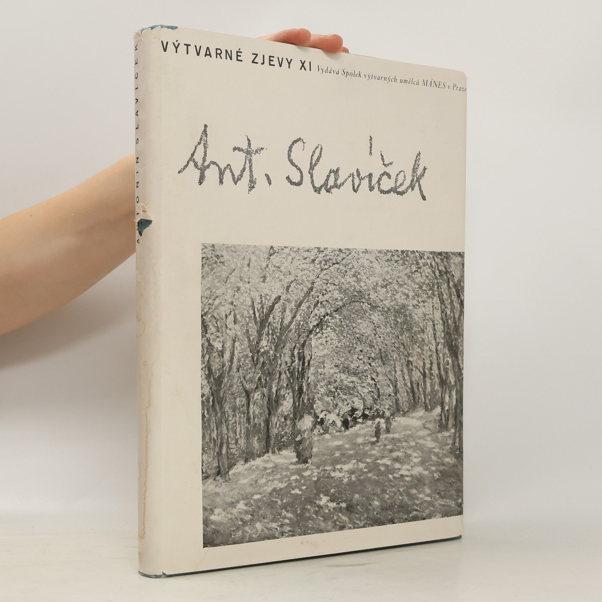 Kolektiv autorů Výtvarné zjevy XI. Antonín Slavíček