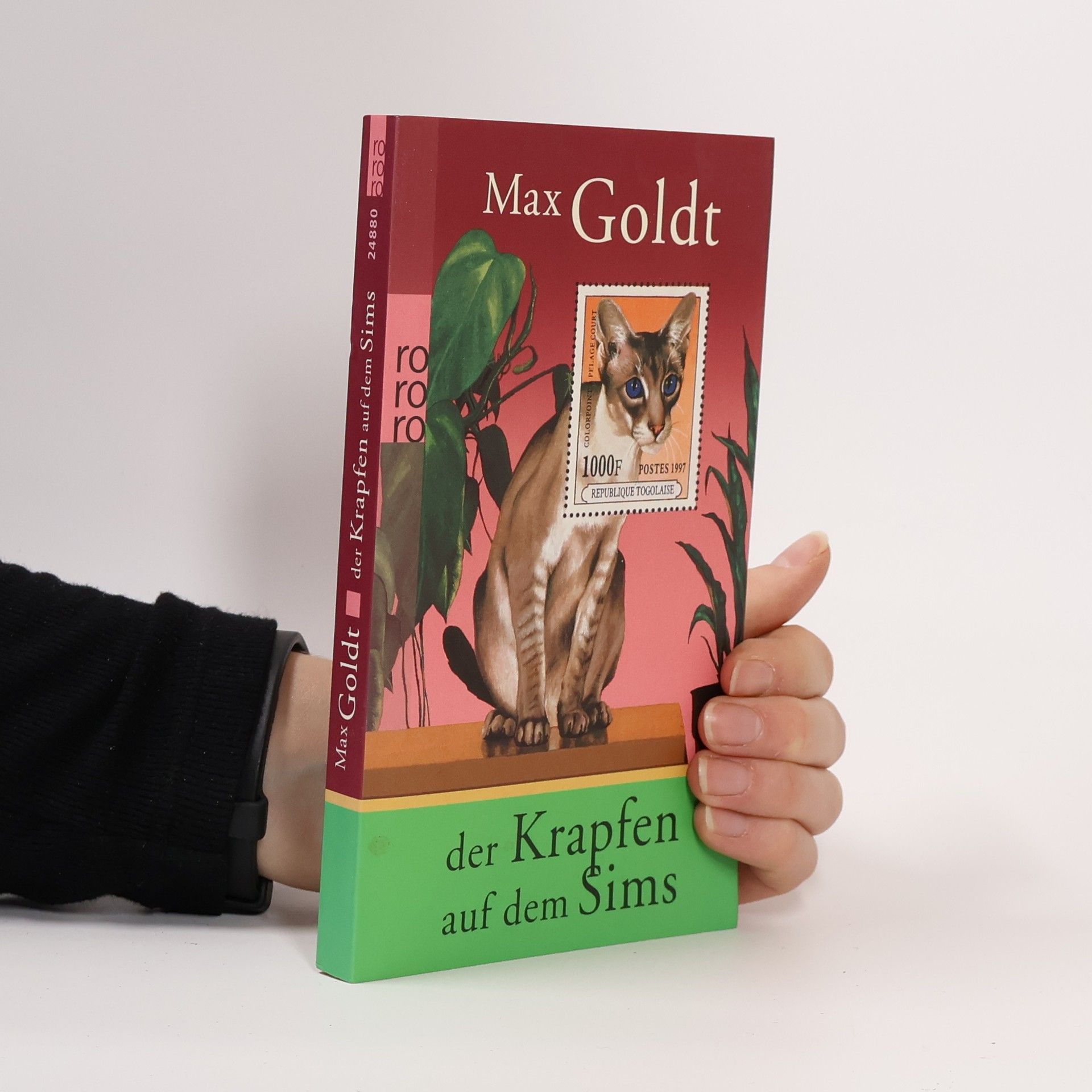 Max Goldt Der Krapfen auf dem Sims