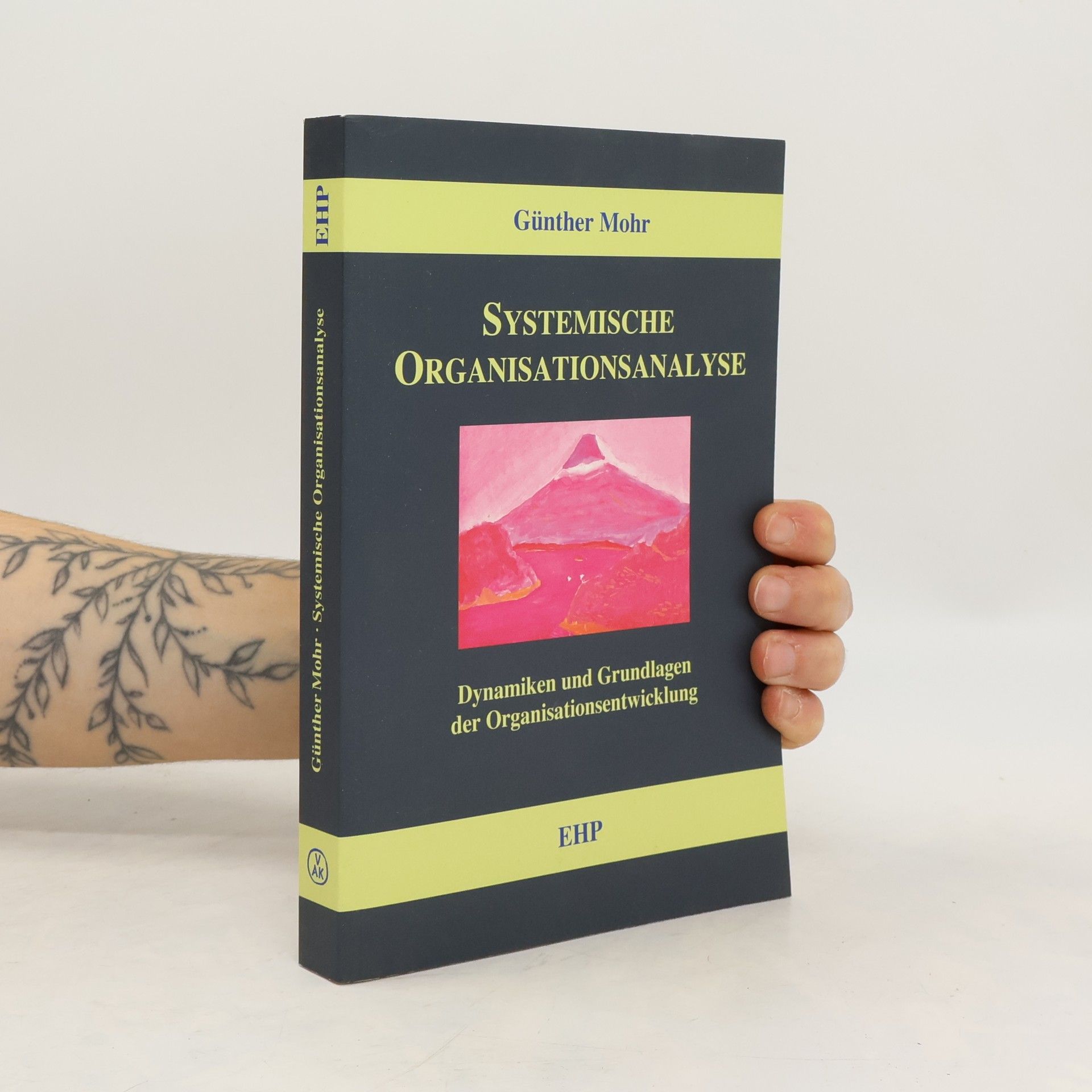 Günther Mohr Systemische Organisationsanalyse