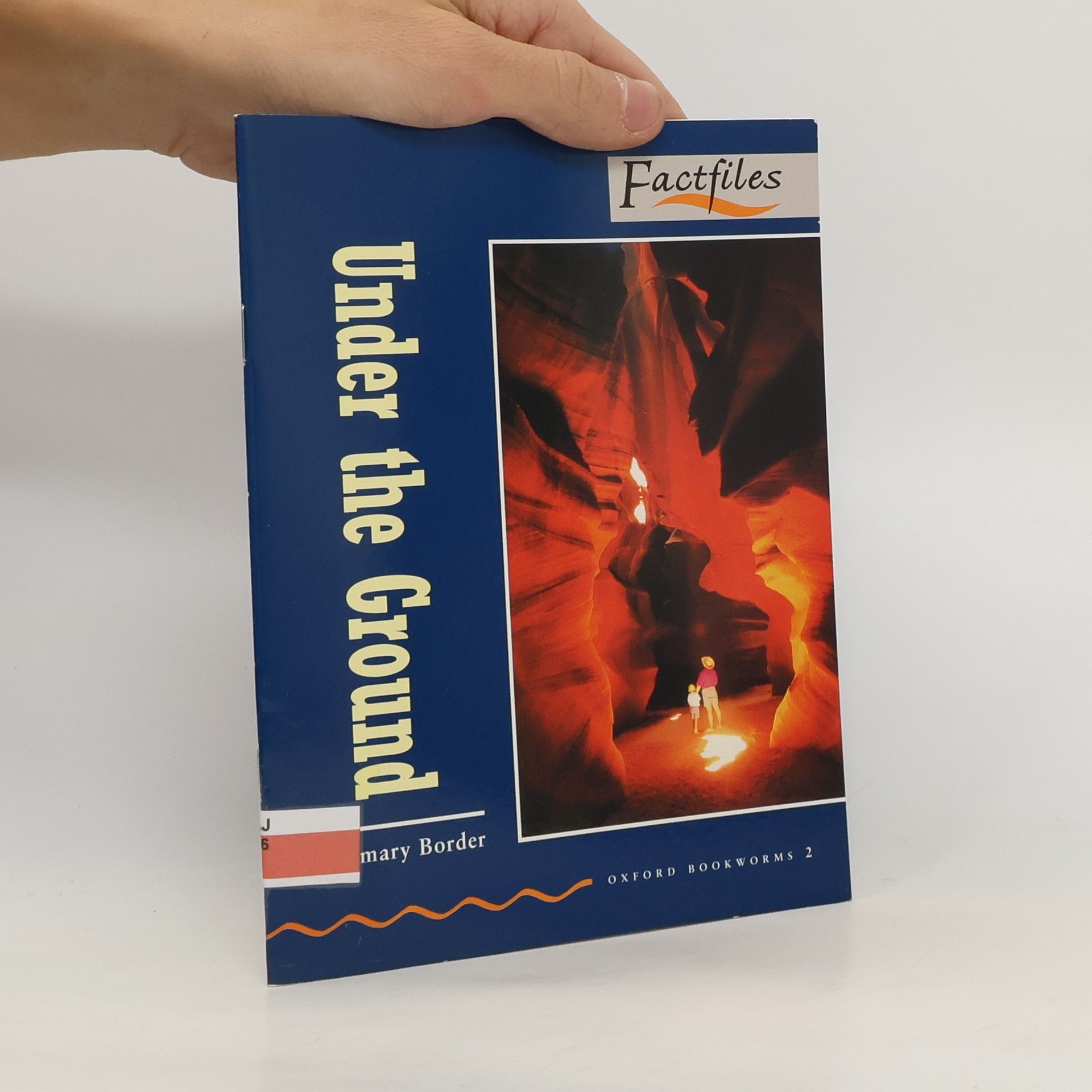 Rosemary Border Under the Ground