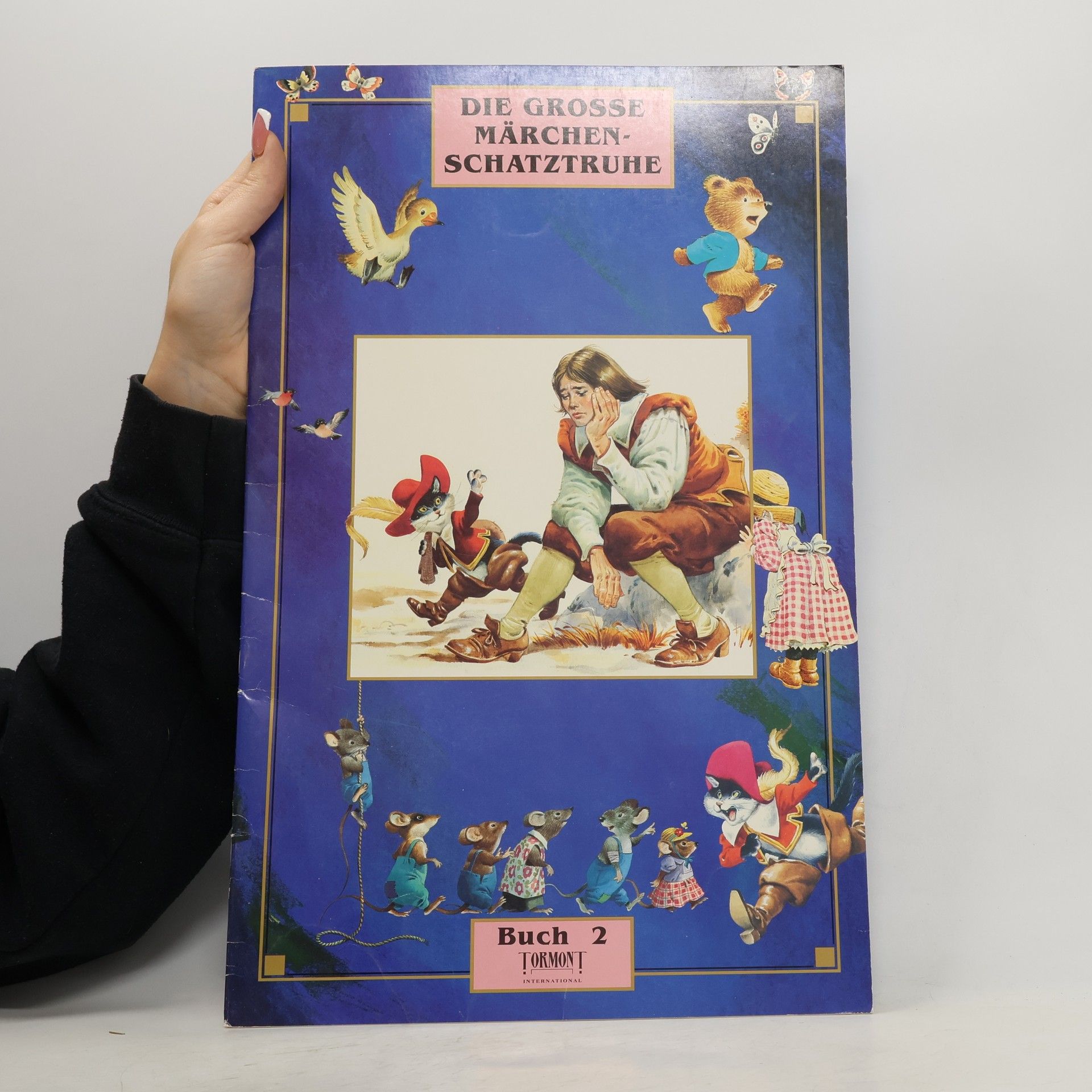 Collectif d'auteurs Die grosse Märchenschatztruhe II