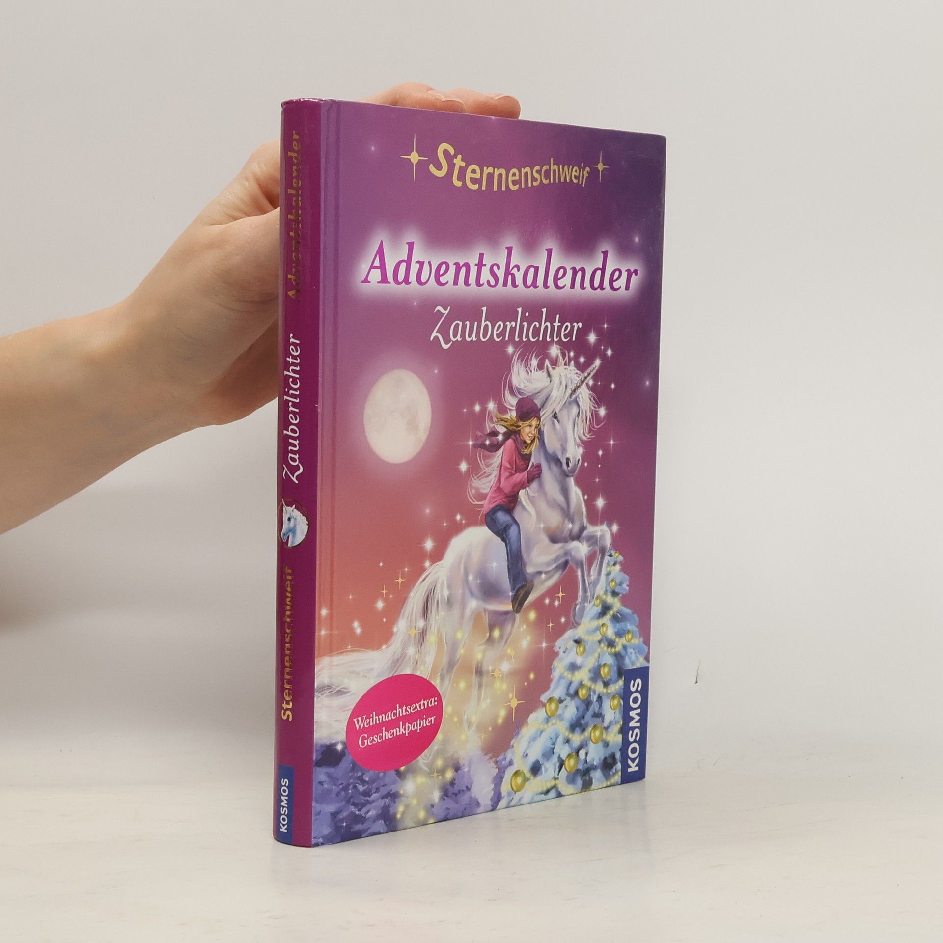 AA.VV. Adventskalender. Zauberlichter