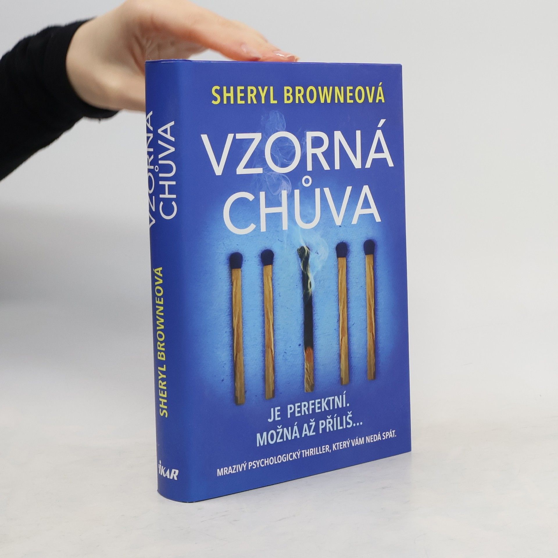 Sheryl Browne Vzorná chůva