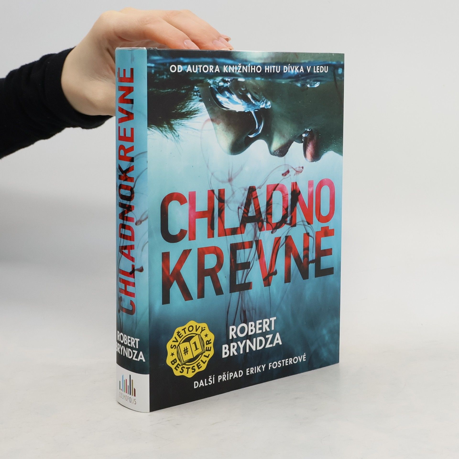 Robert Bryndza Chladnokrevně