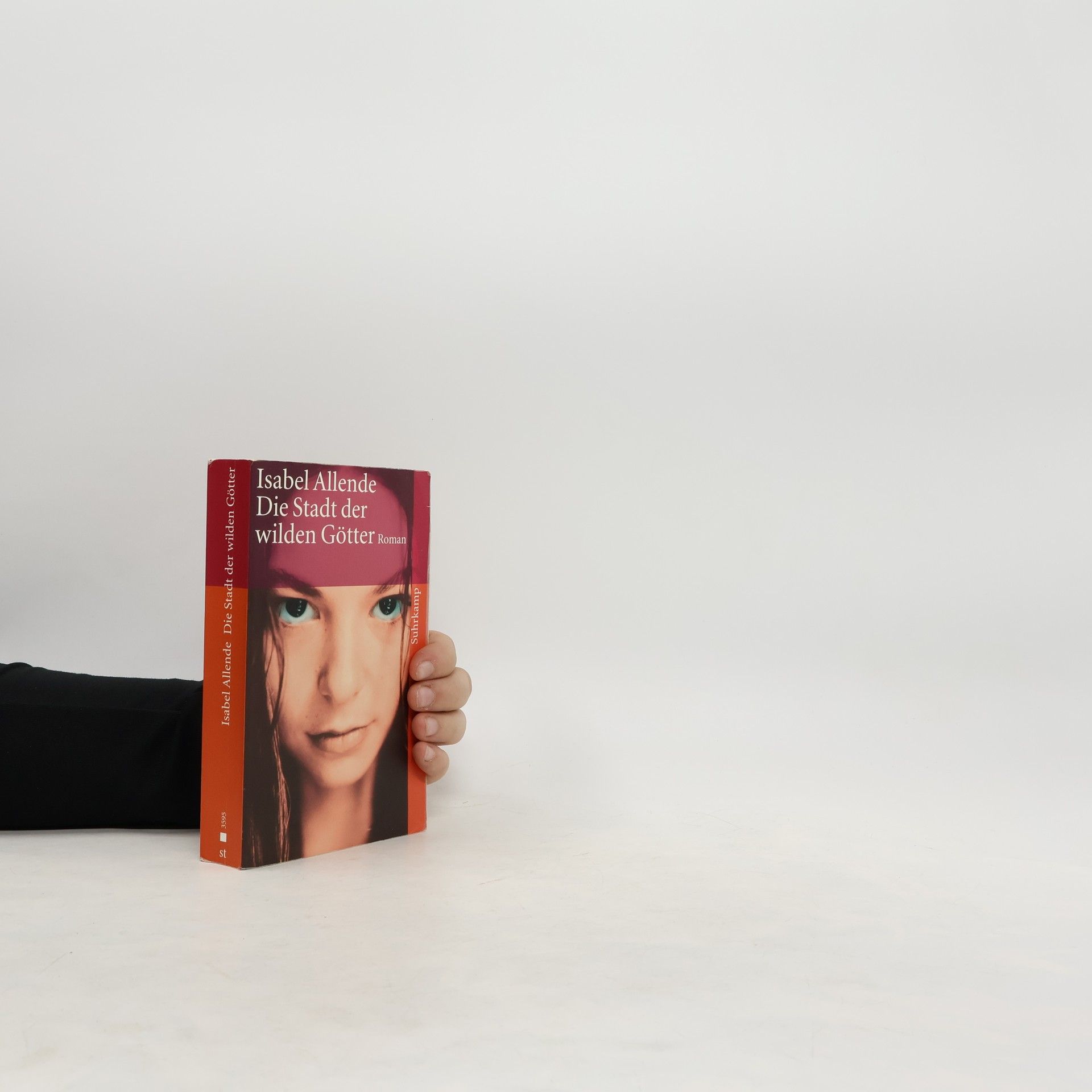 Isabel Allende Die Stadt der wilden Götter