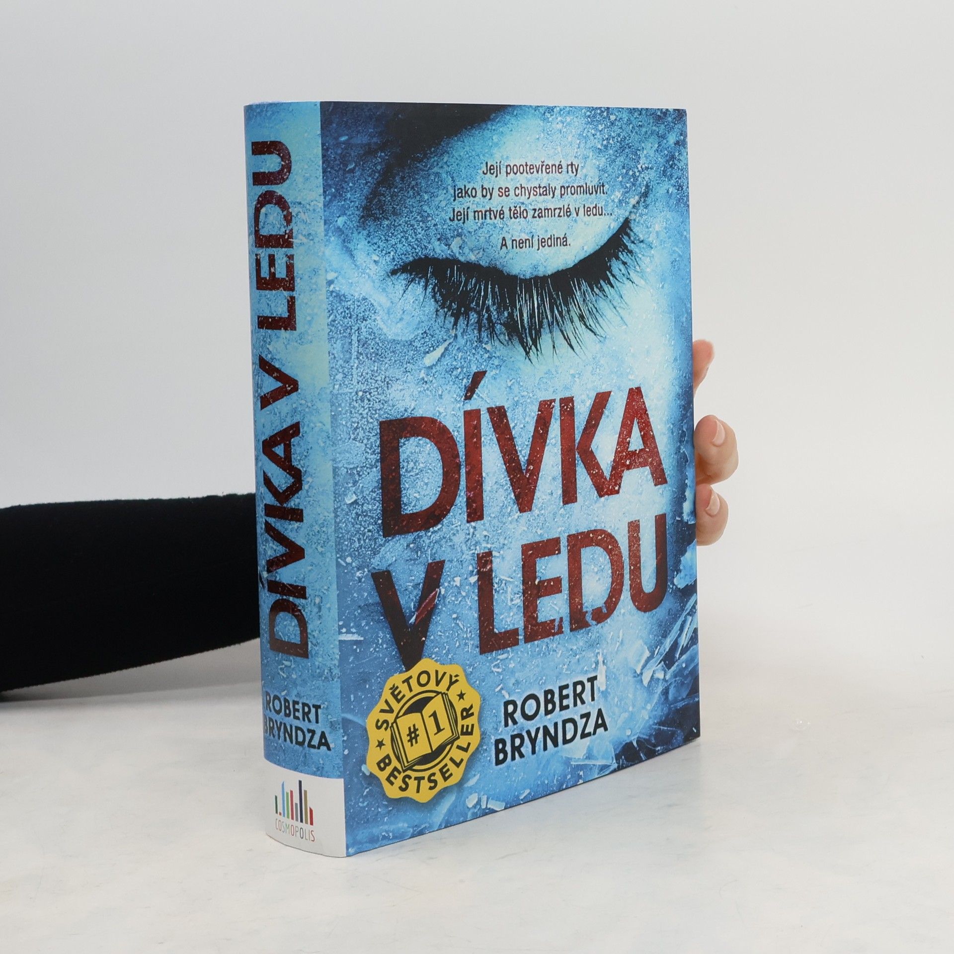 Robert Bryndza Dívka v ledu