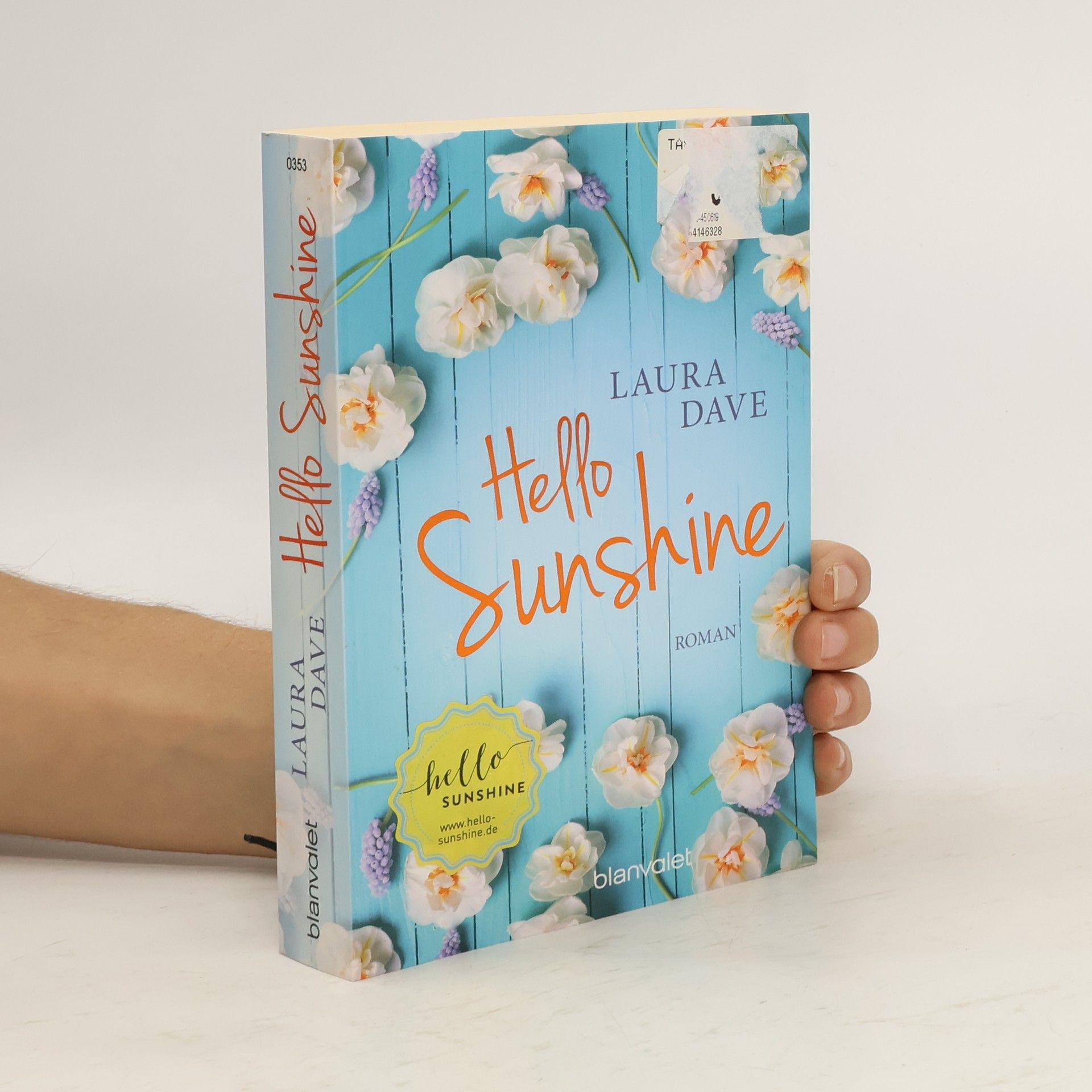 Laura Dave Hello Sunshine