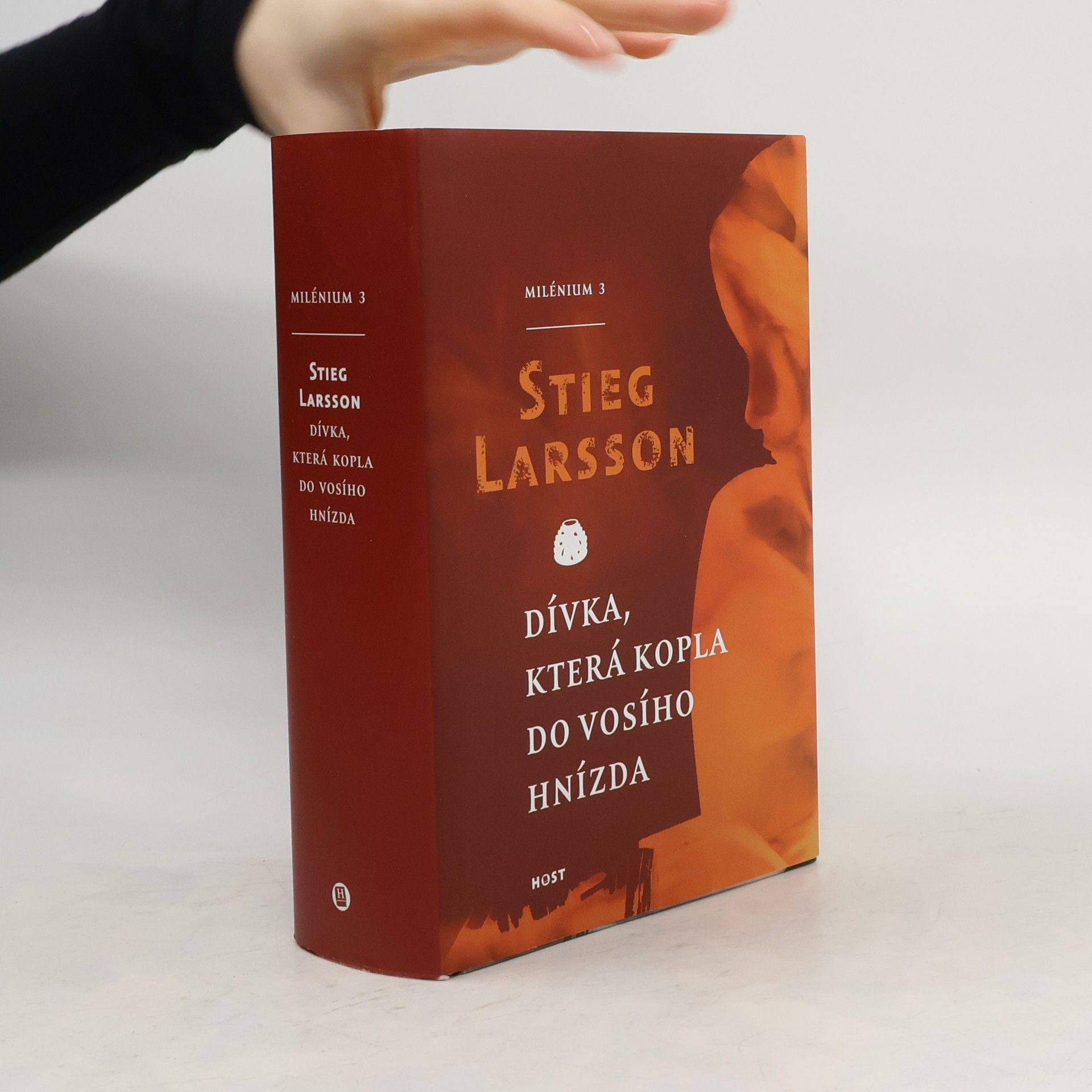 Stieg Larsson Dívka, která kopla do vosího hnízda