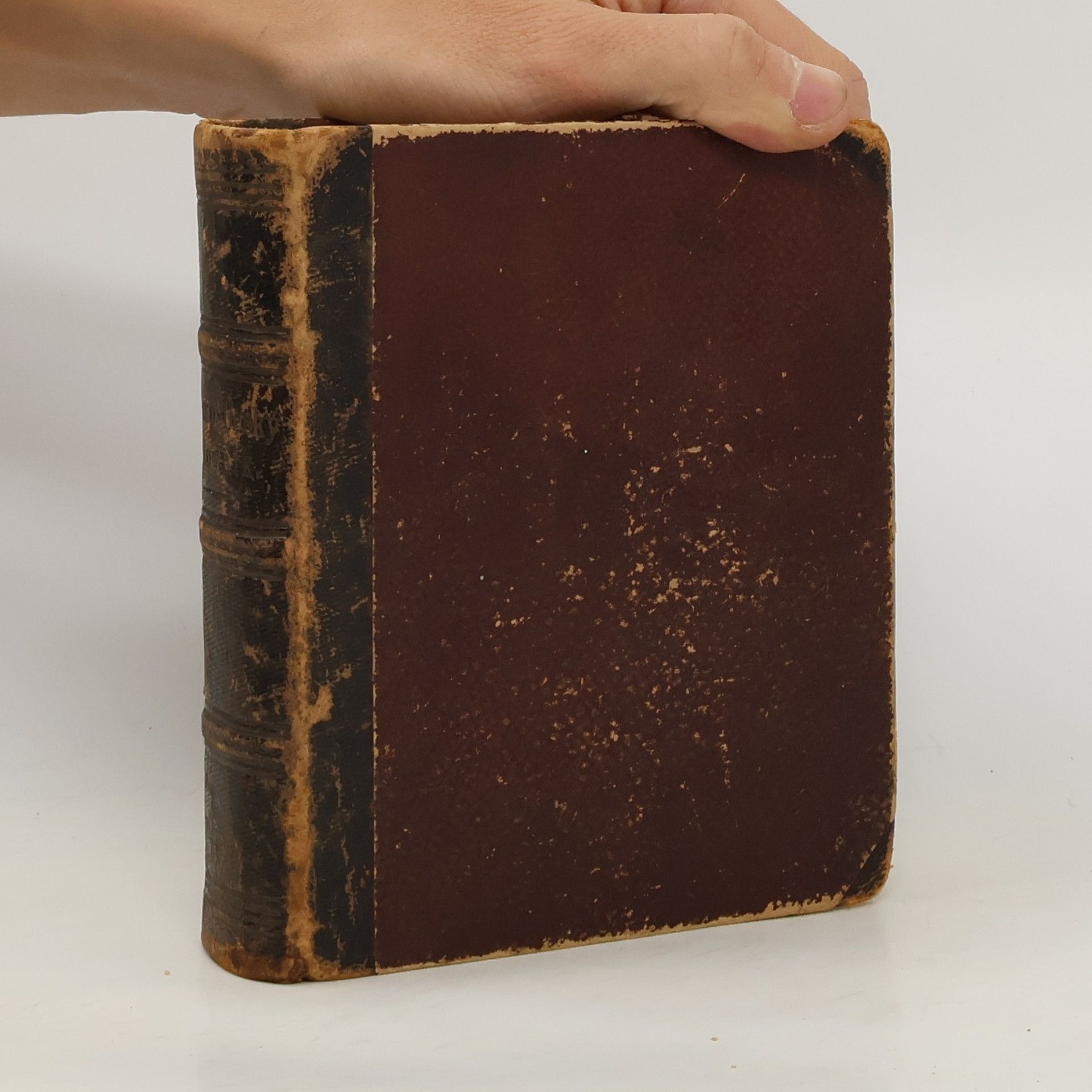 Rusko-Český slovník