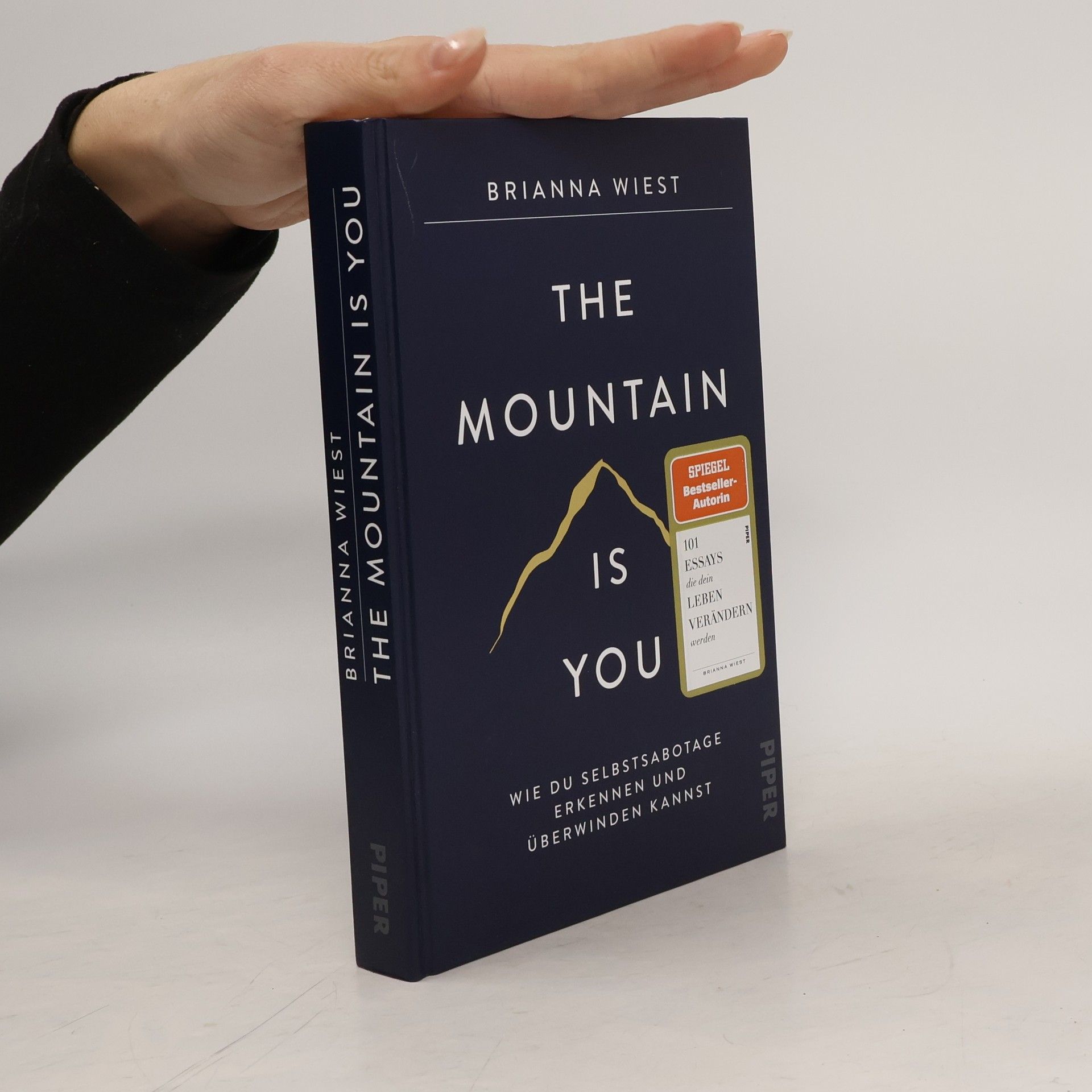 Brianna Wiest The Mountain Is You