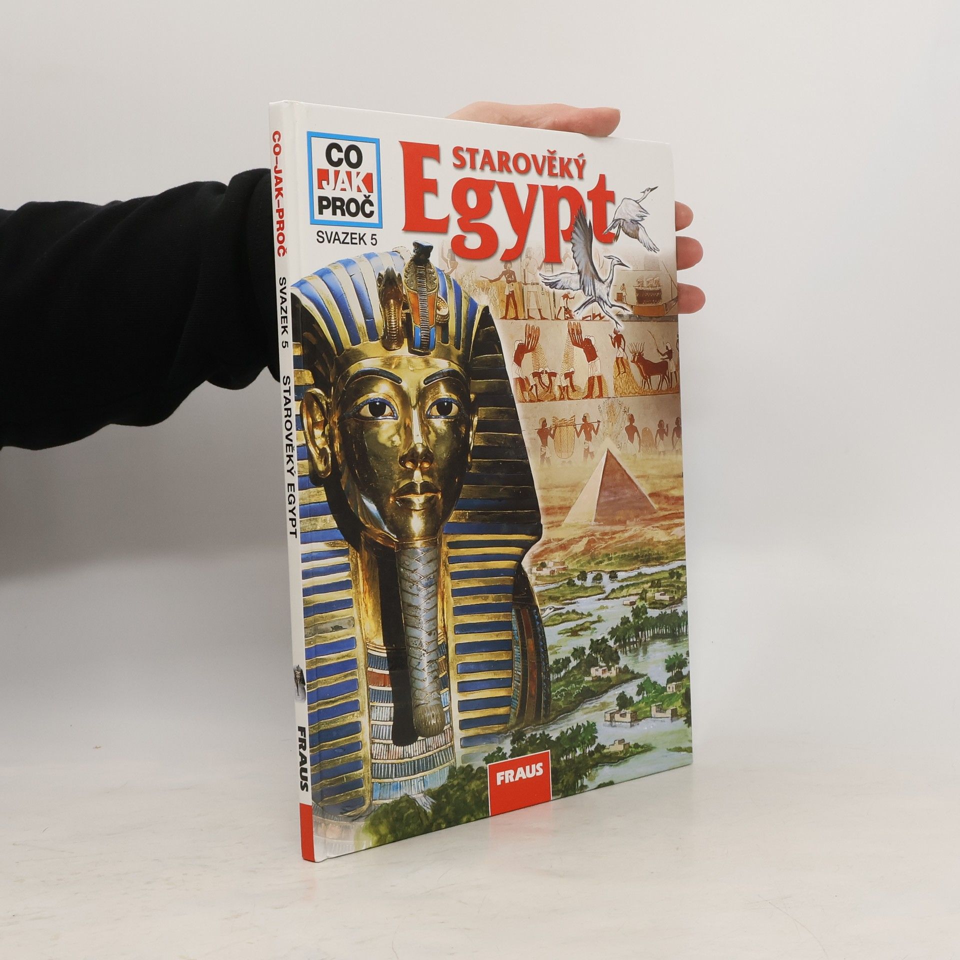 Dieter Kurth Starověký Egypt
