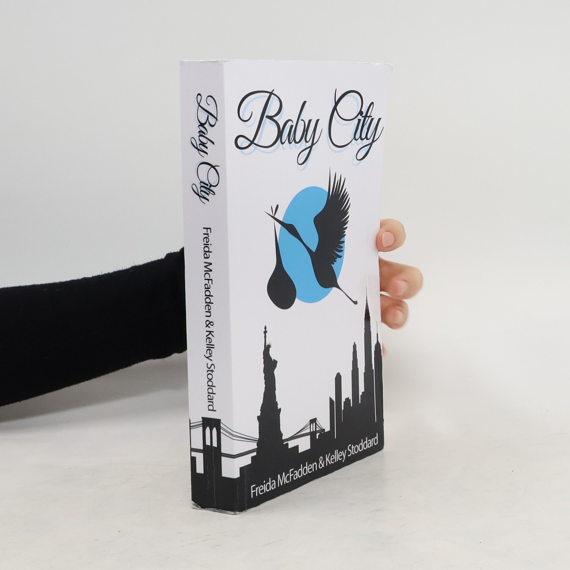 Freida McFadden Baby City