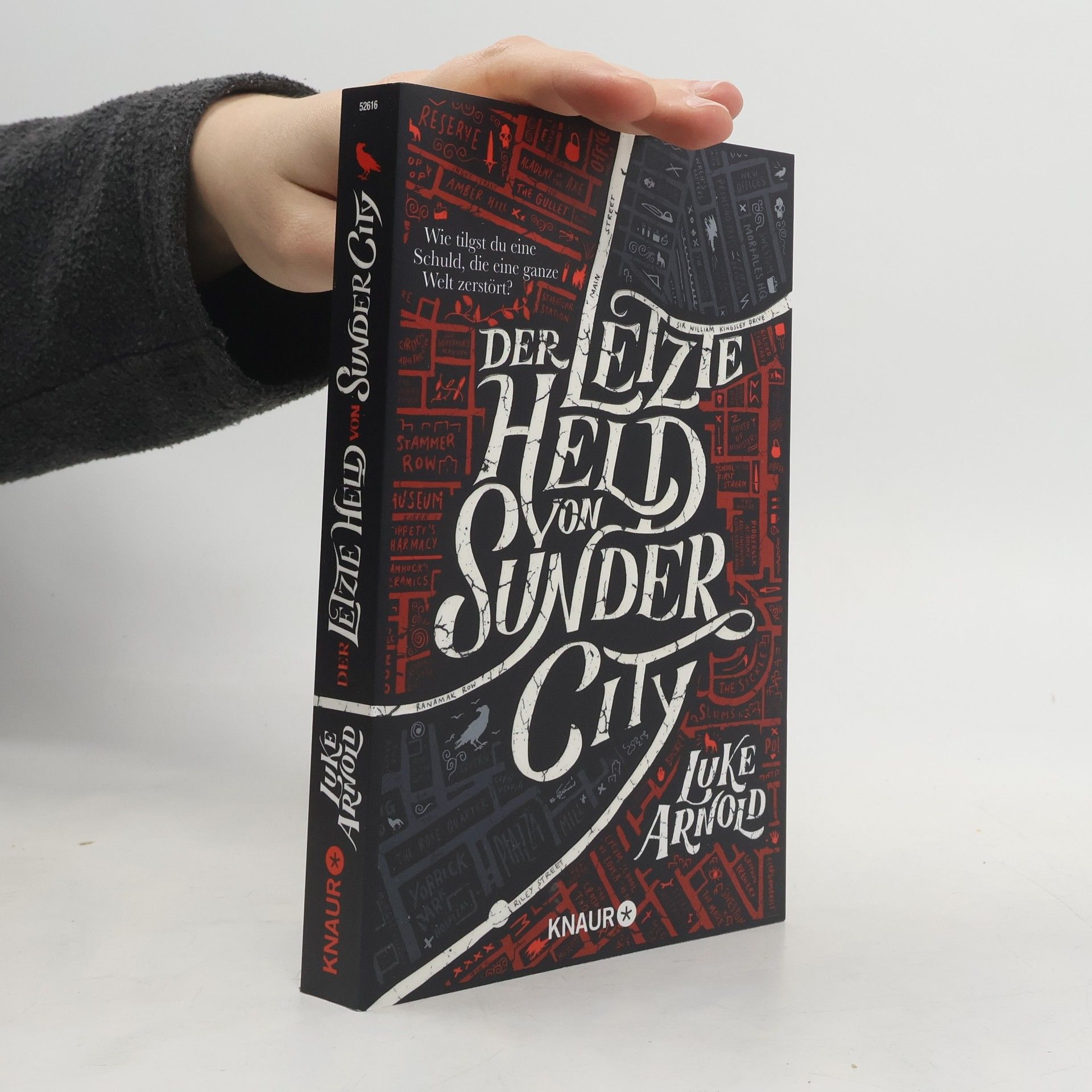 Luke Arnold Der letzte Held von Sunder City