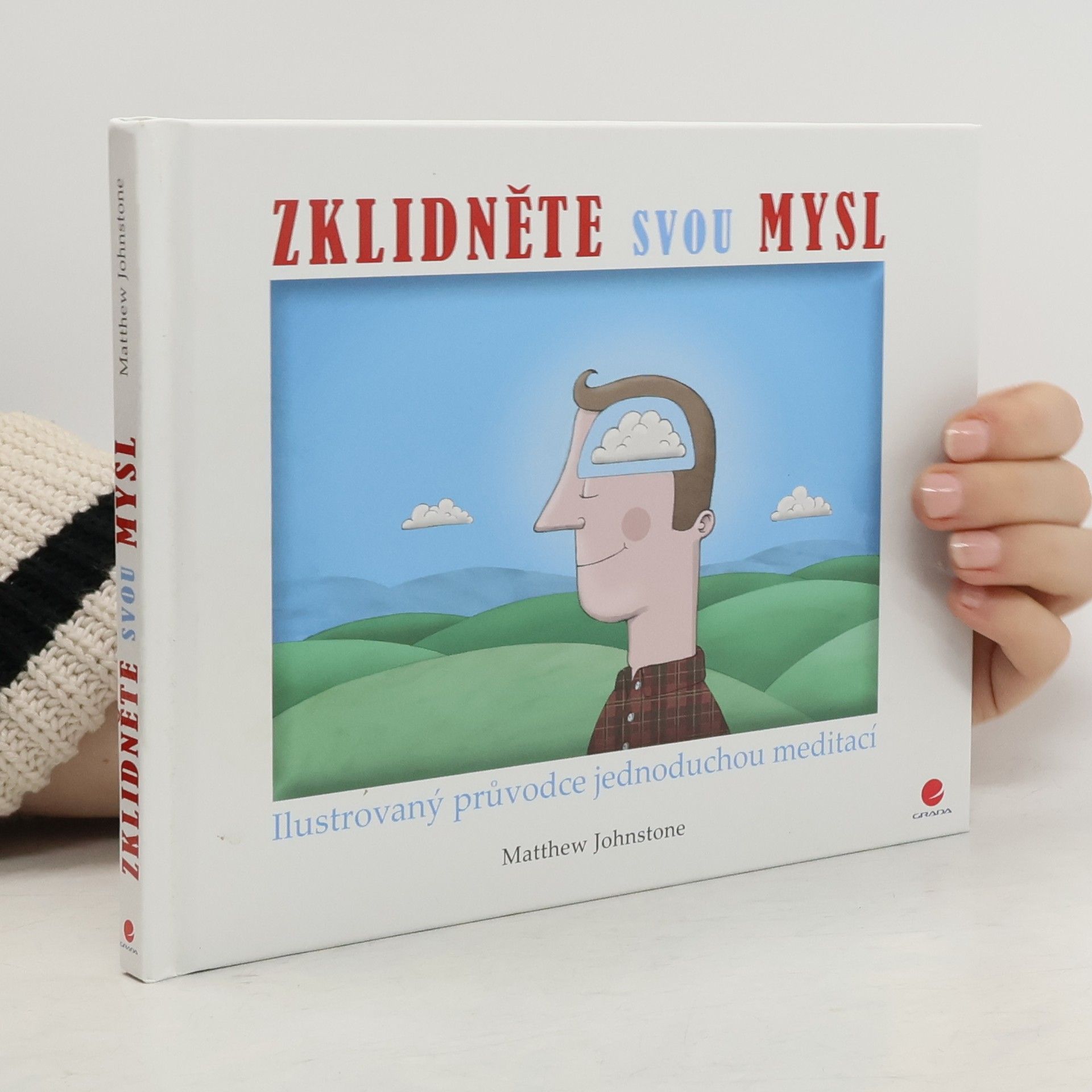 Matthew Johnstone Zklidněte svou mysl: Ilustrovaný průvodce jednoduchou meditací