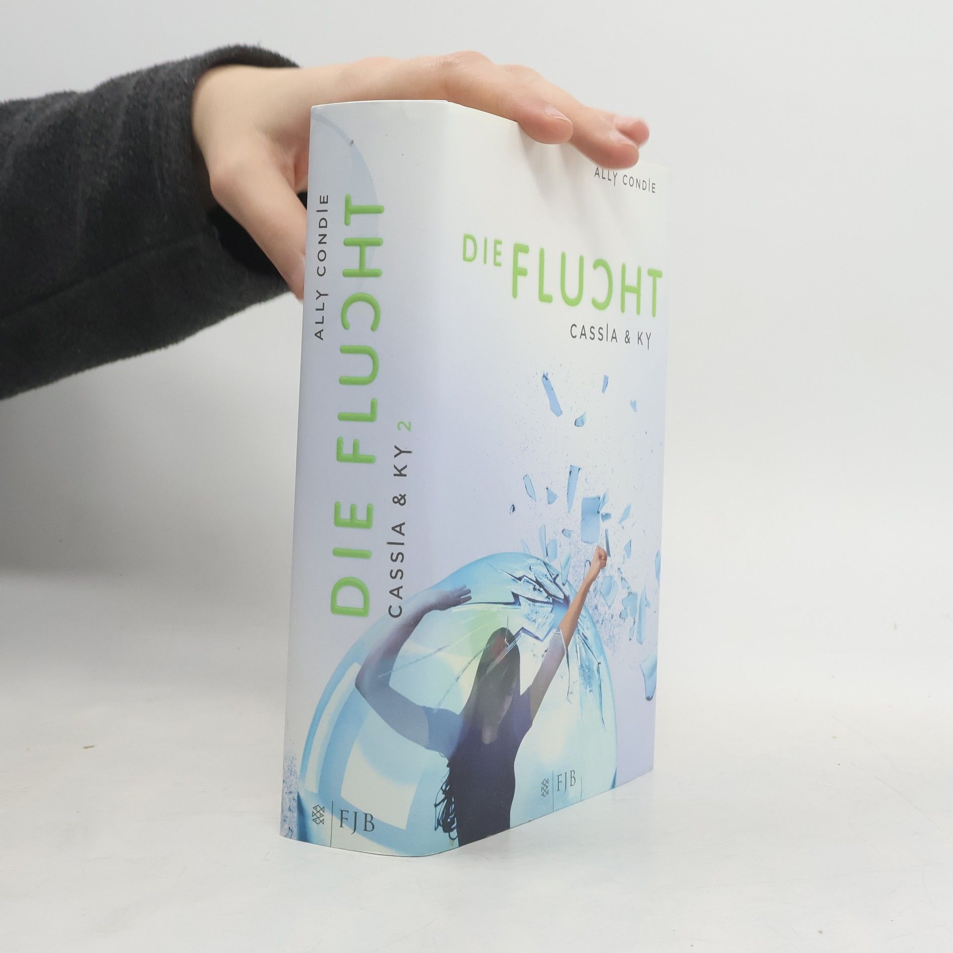 Allyson Braithwaite Condie Die Flucht