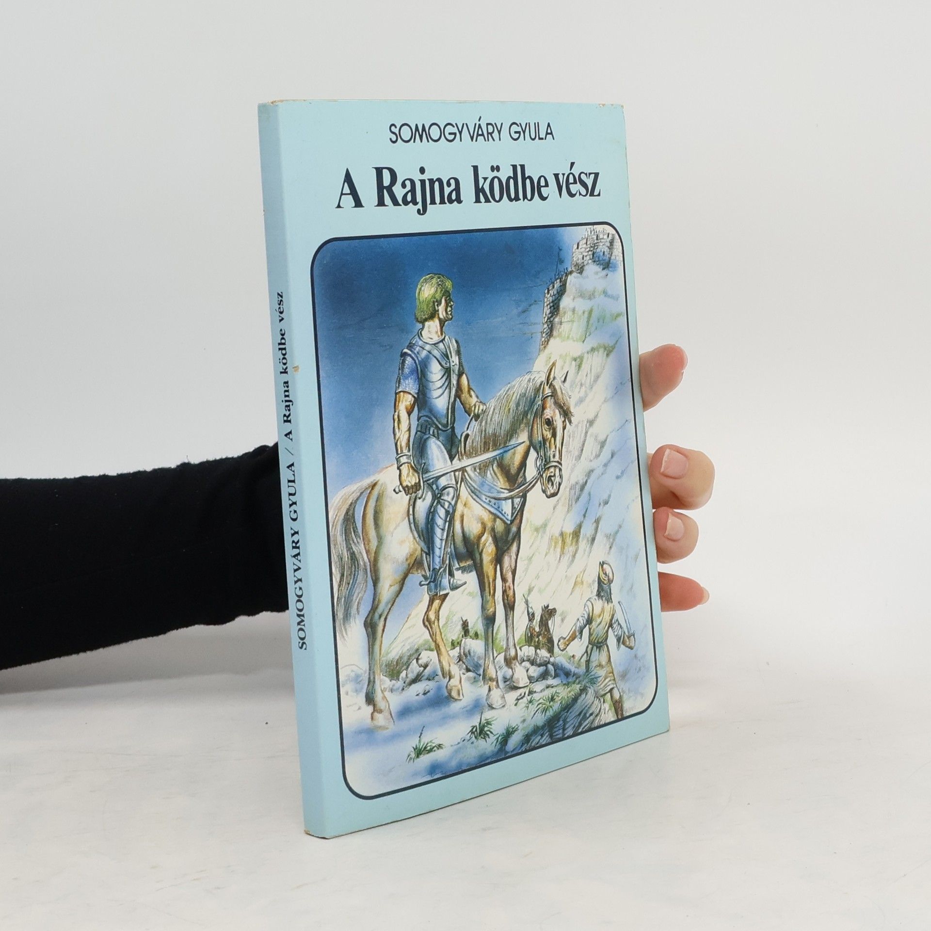 Gyula Somogyváry A Rajna ködbe vész