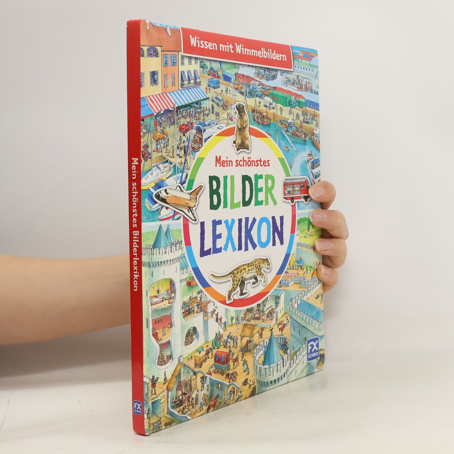 Collectif d'auteurs Mein schönstes Bilderlexikon