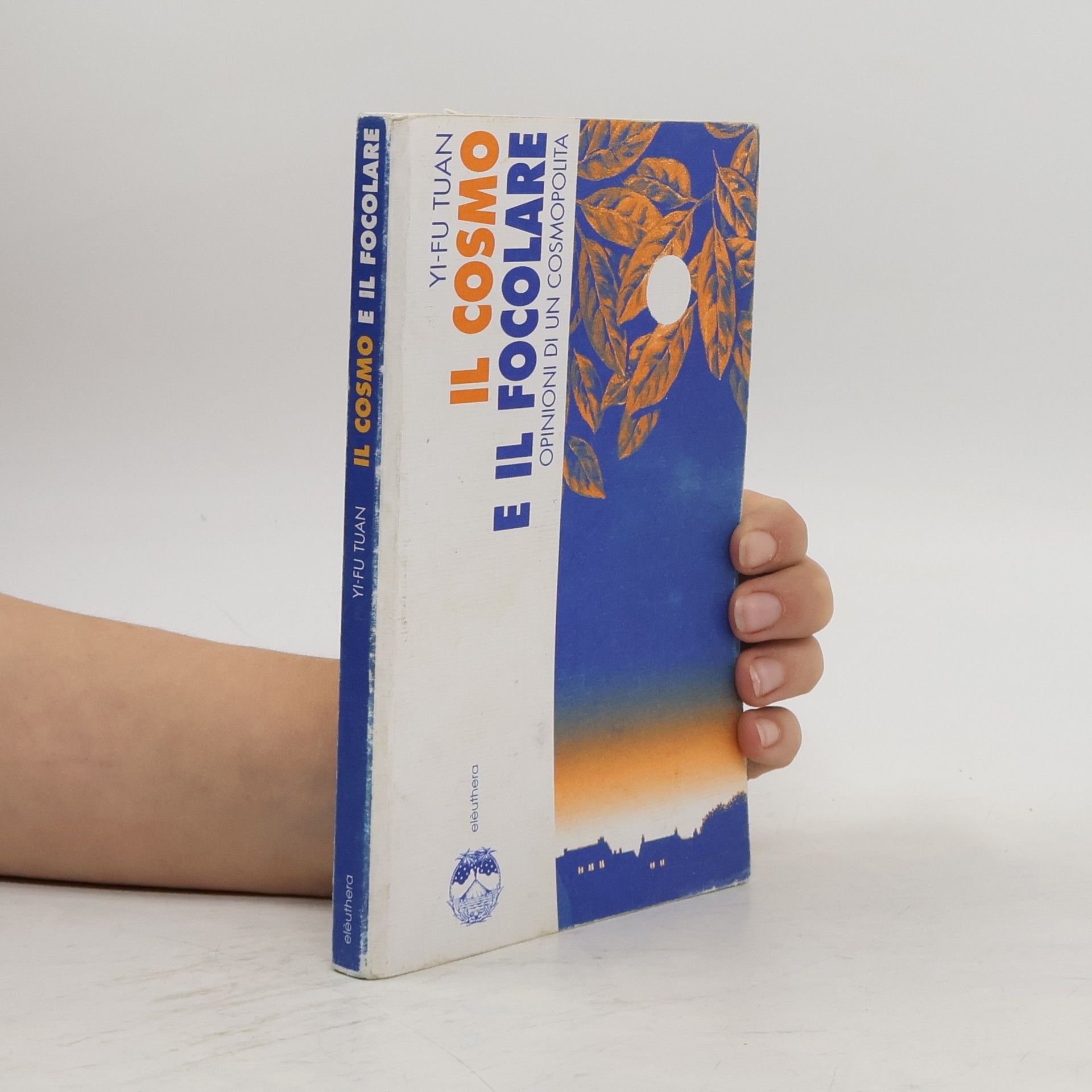 Il cosmo e il focolare. Opinioni di un cosmopolita