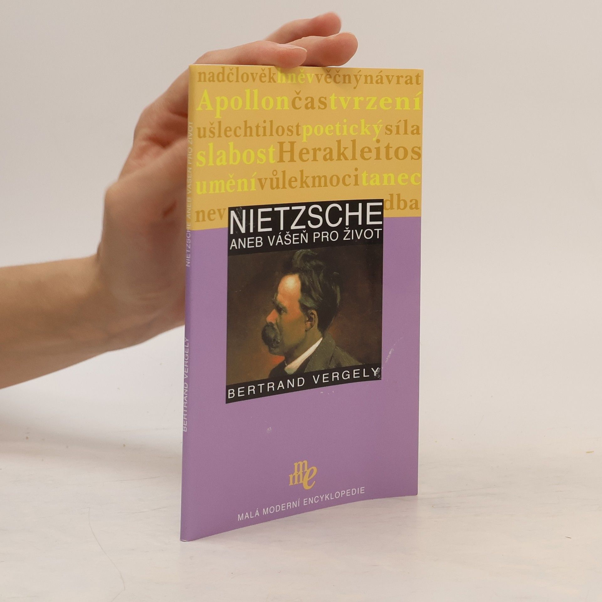 Nietzsche aneb Vášeň pro život