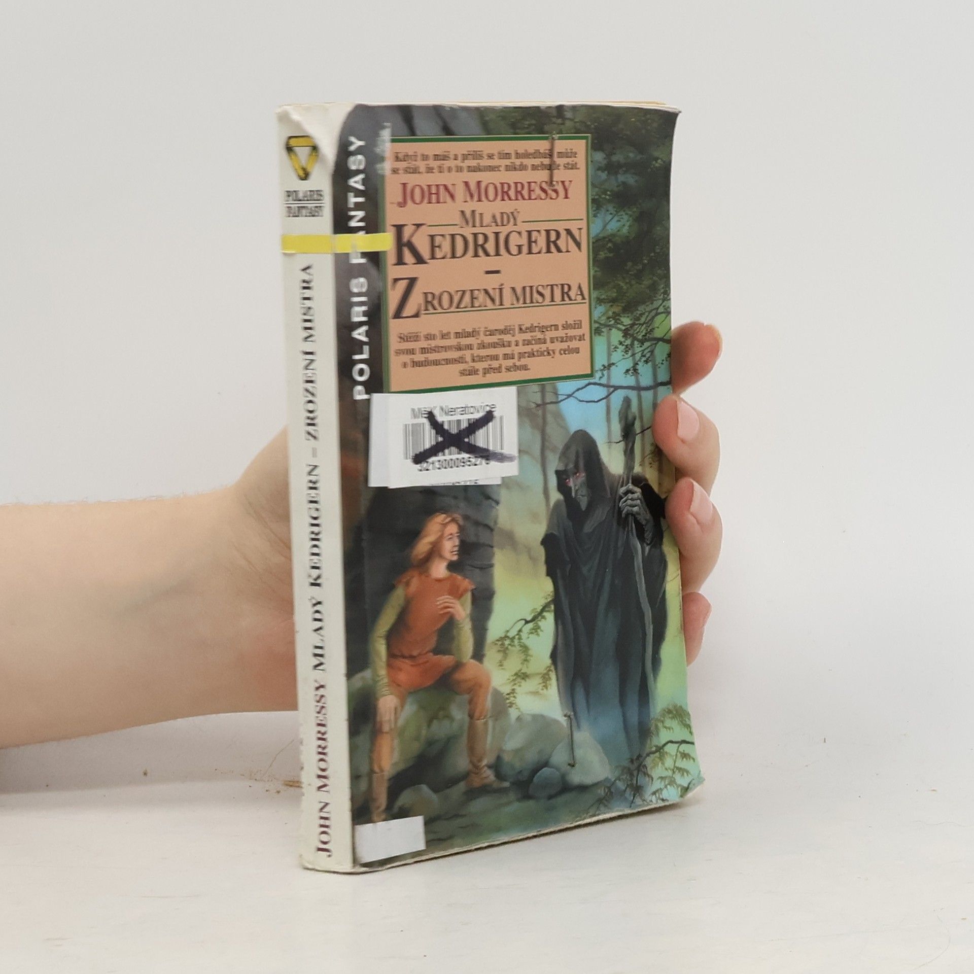 John Morressy Mladý Kedrigern - zrození mistra