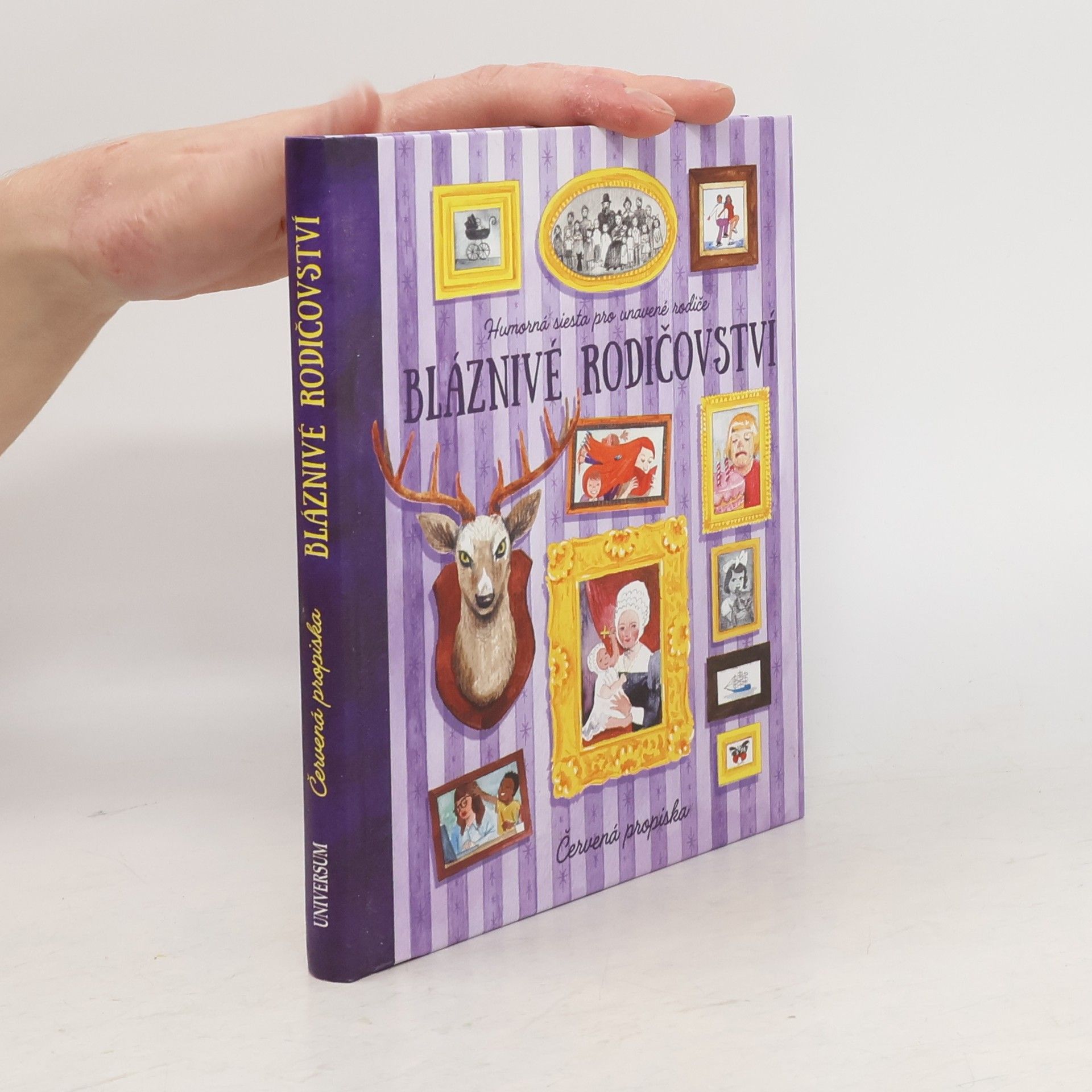 Kolektiv autorů Bláznivé rodičovství. Humorná siesta pro unavené rodiče