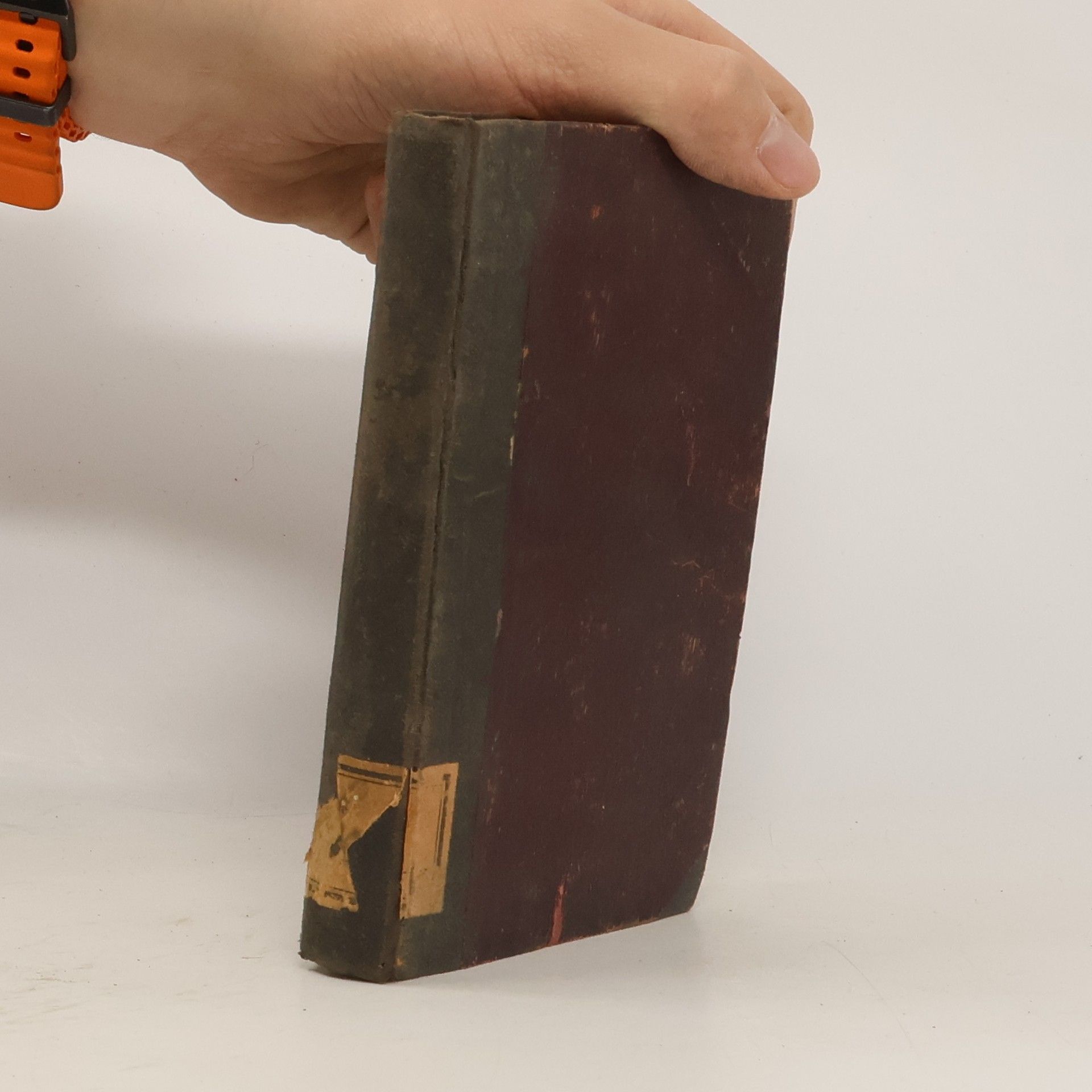 Pohledy do dílny přírody